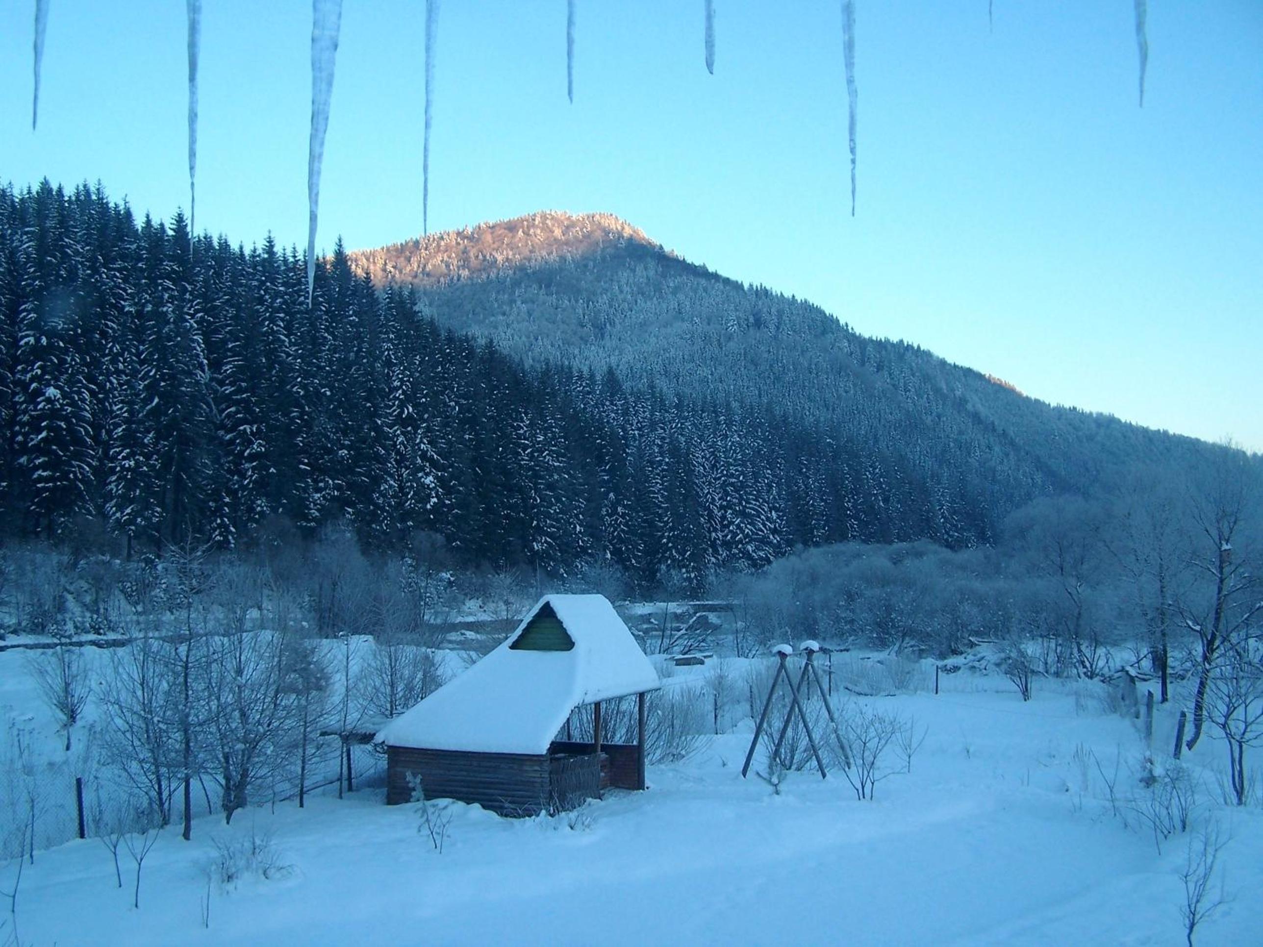Sadyba Lesivykh view 2