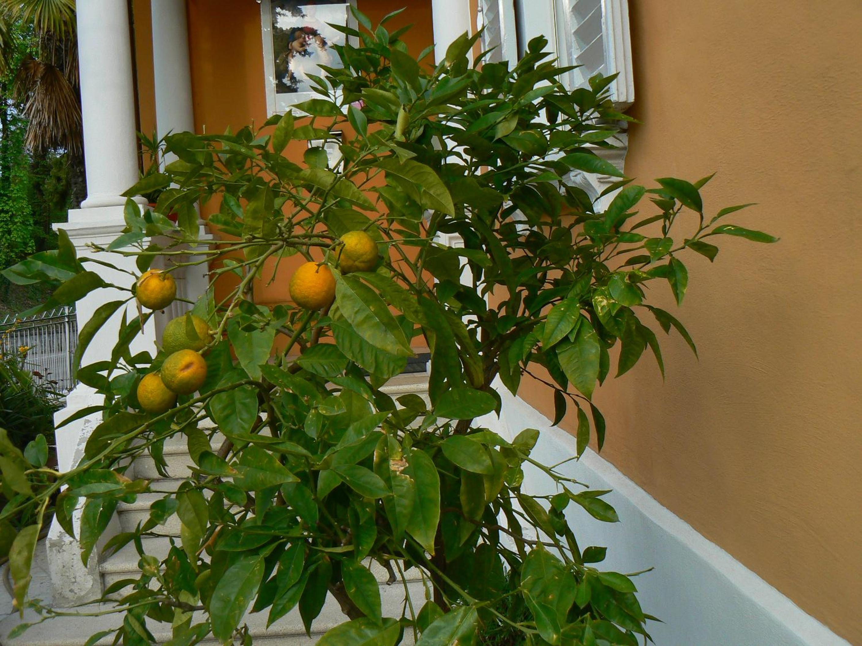 B&B Aquilone