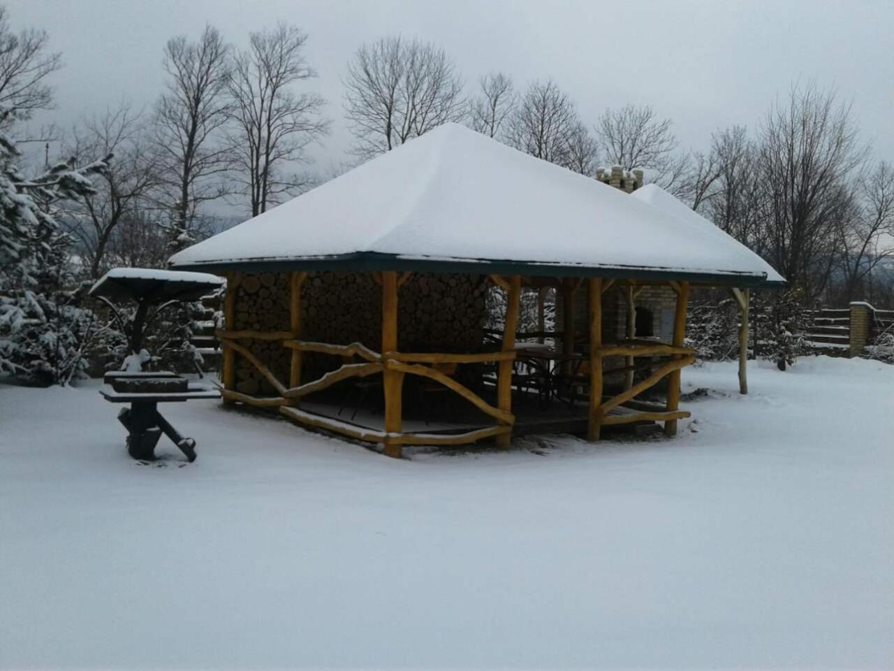 Karpaty Viking