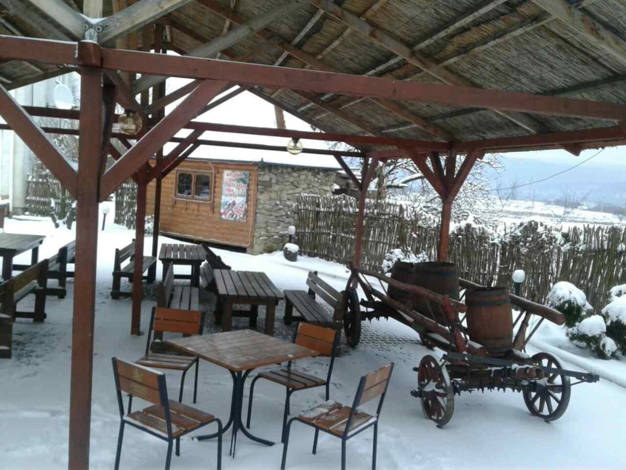 Karpaty Viking