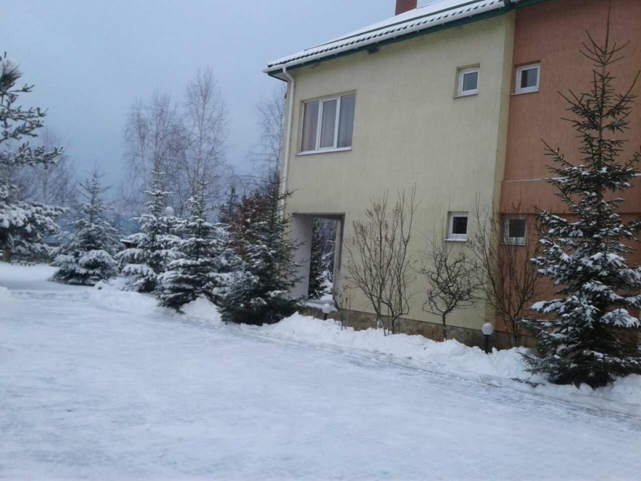 Karpaty Viking
