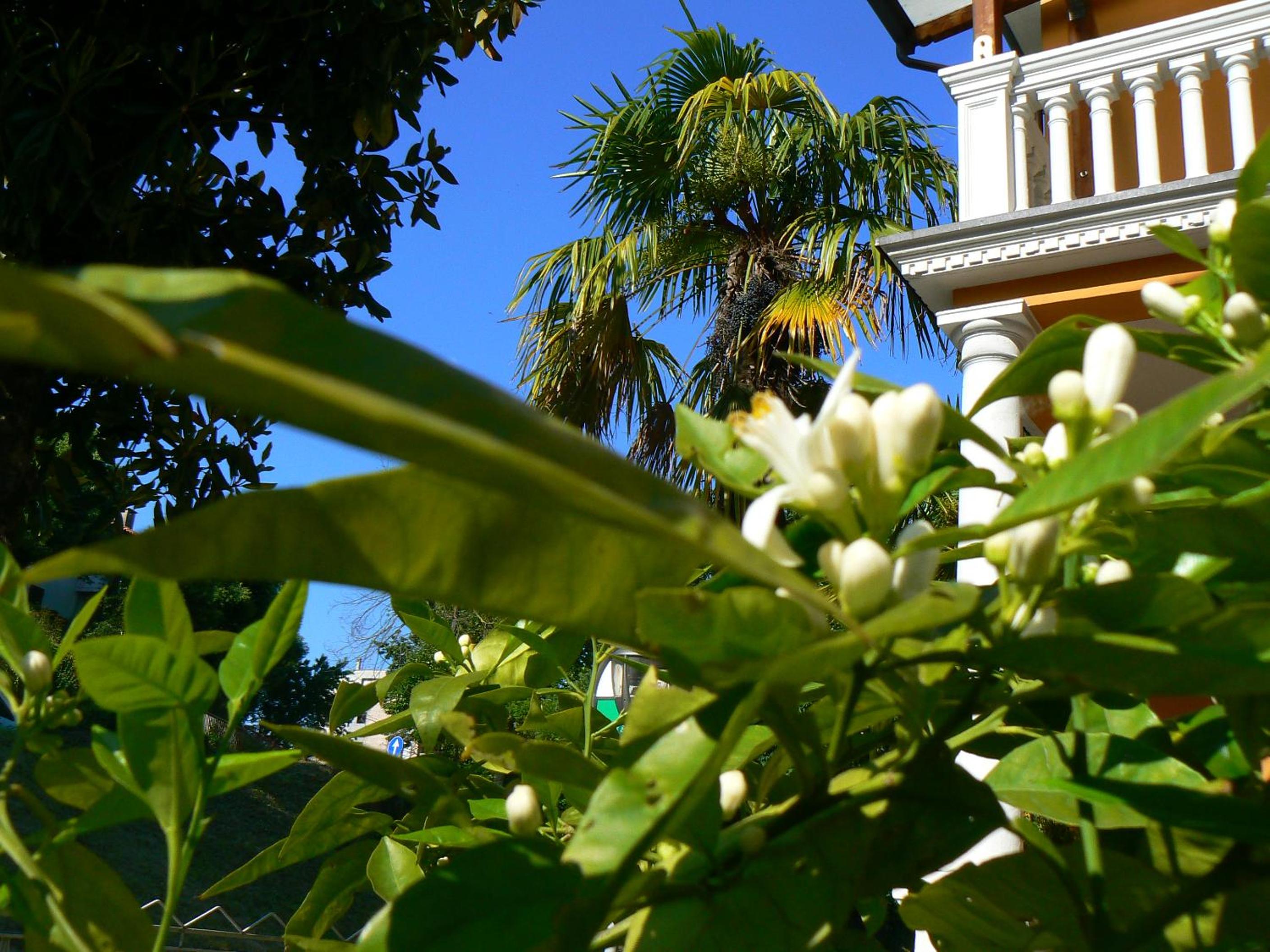B&B Aquilone