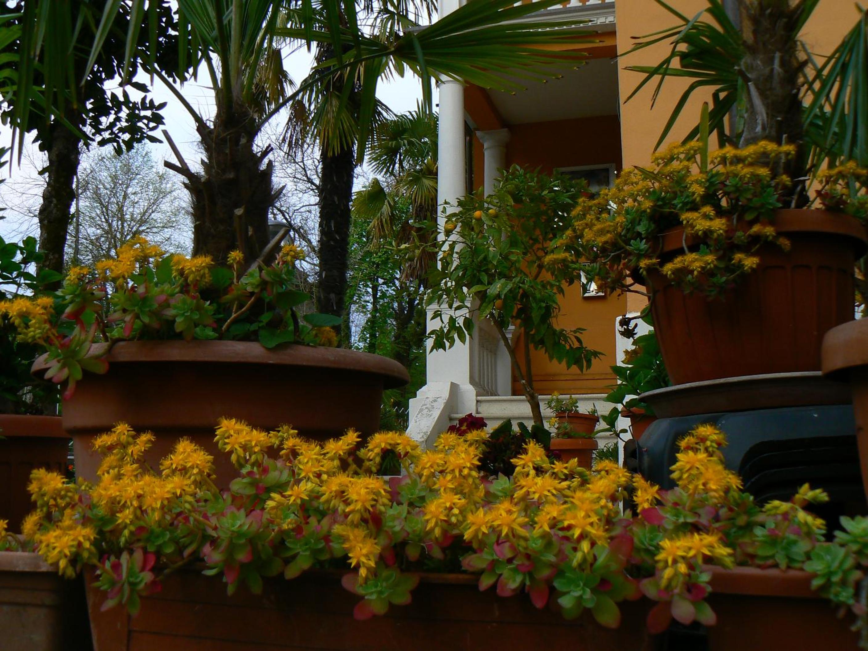 B&B Aquilone