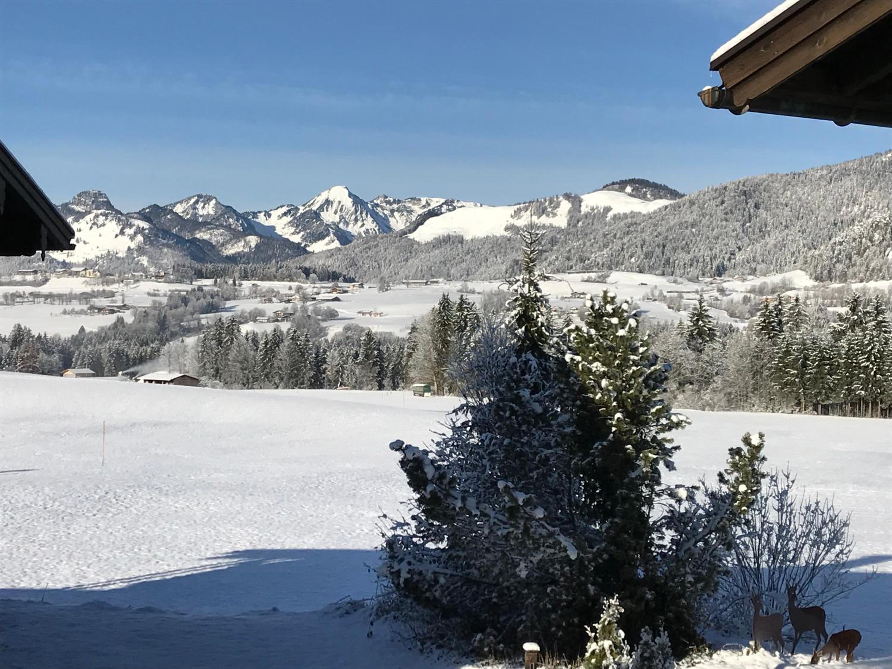 Ferienwohnung Winklblick view 3
