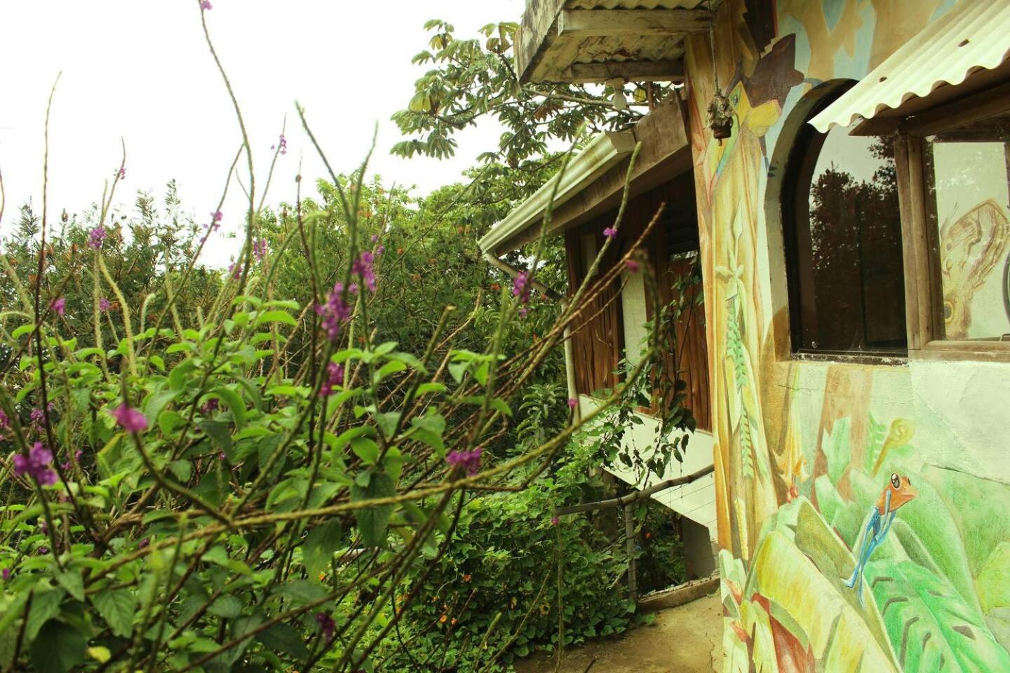 Casa Alquimia