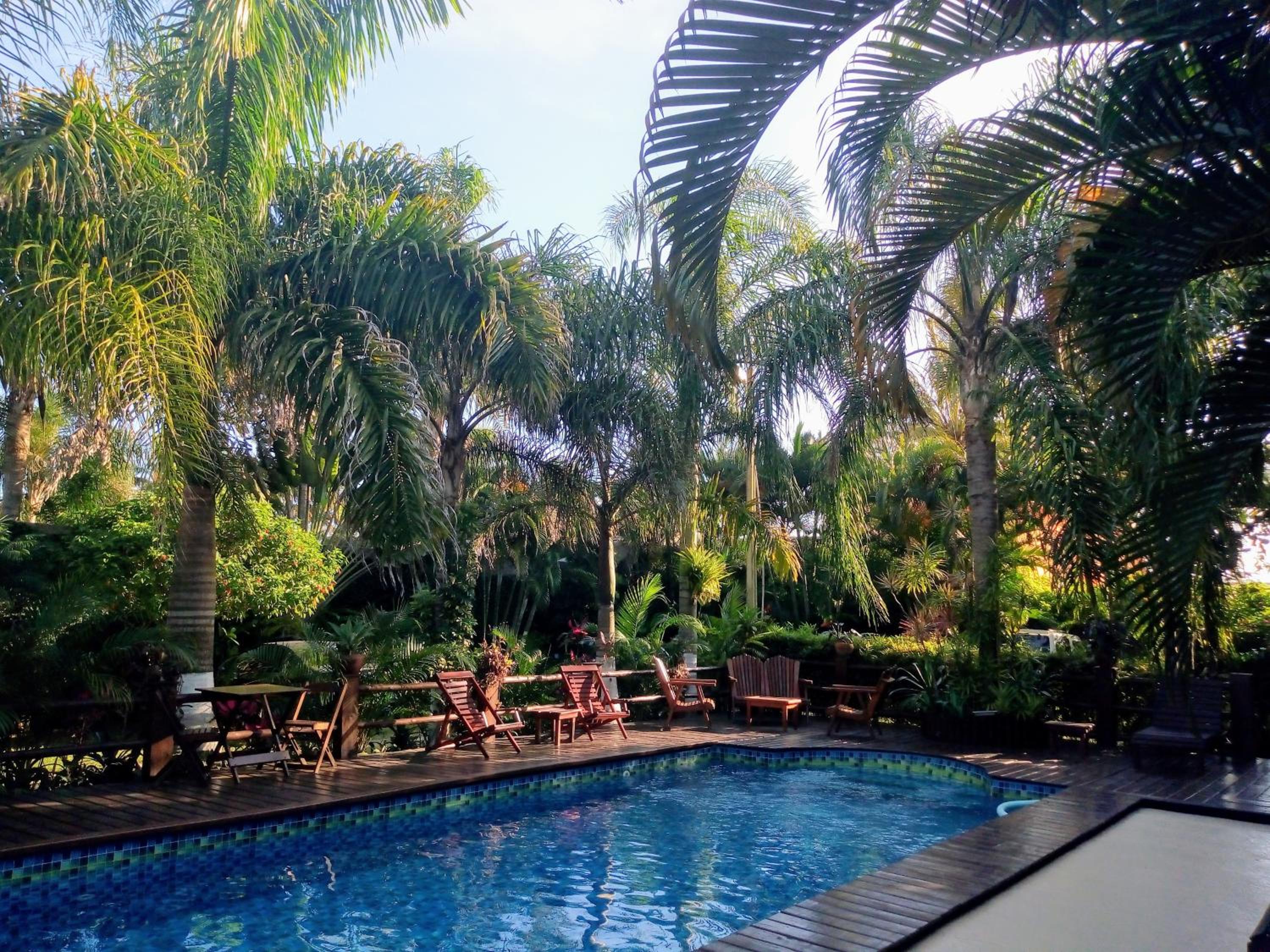 Photo 45