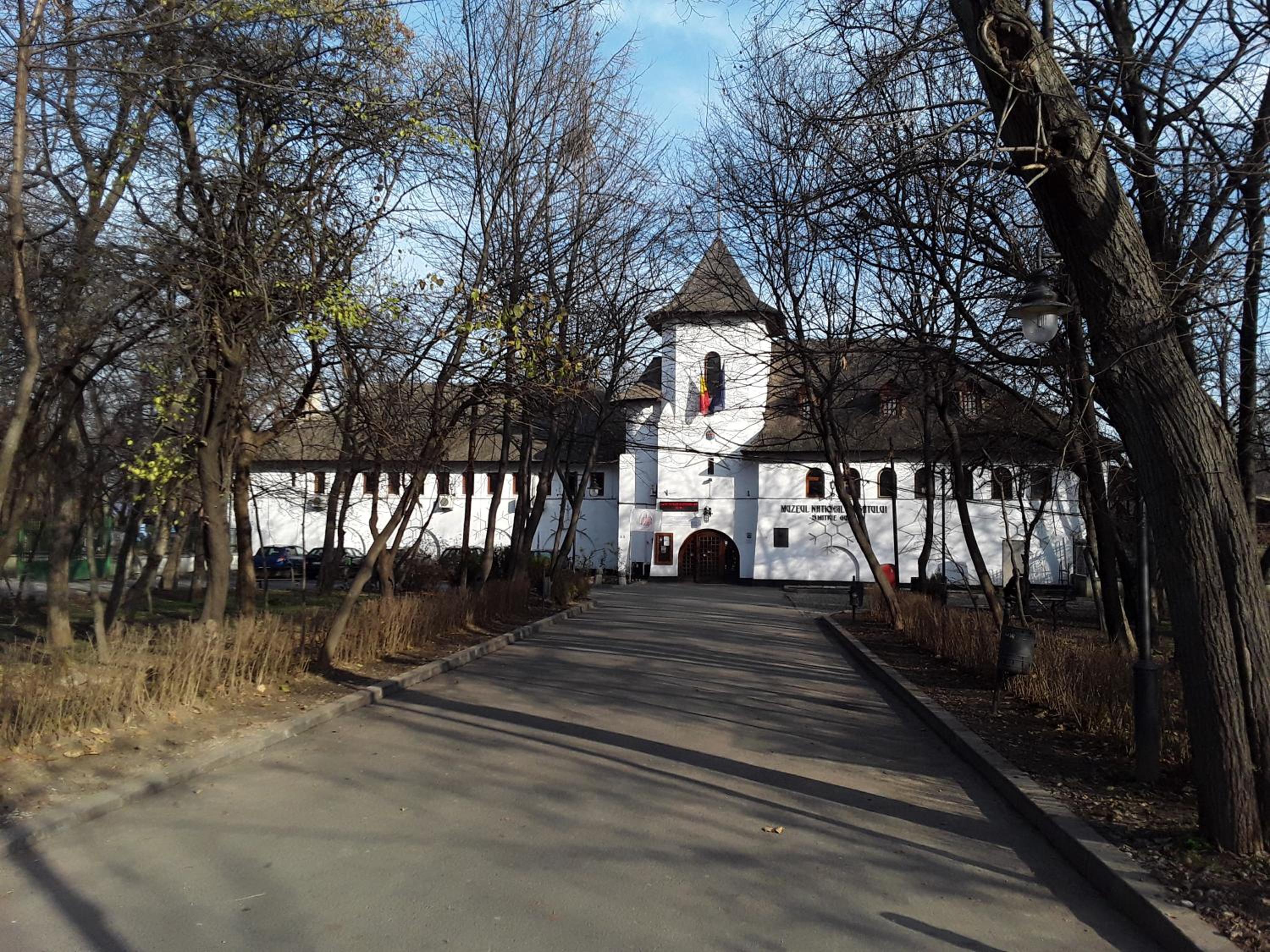 Photo 6