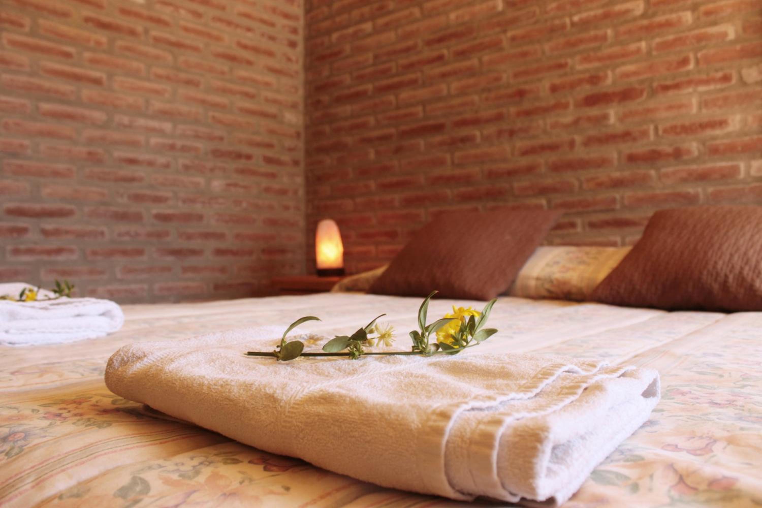 Casas Pura Vida