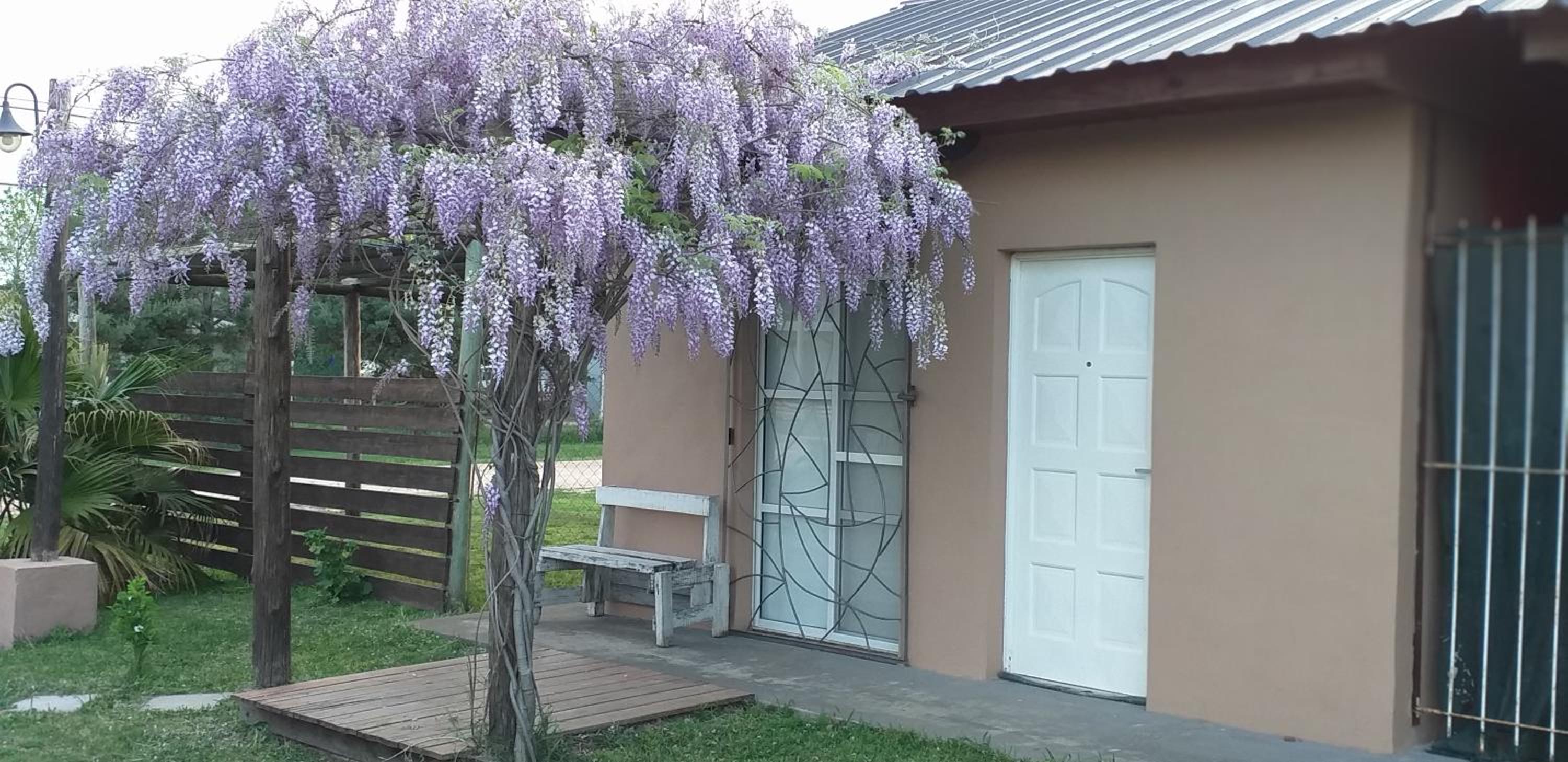 Aitue Bungalows