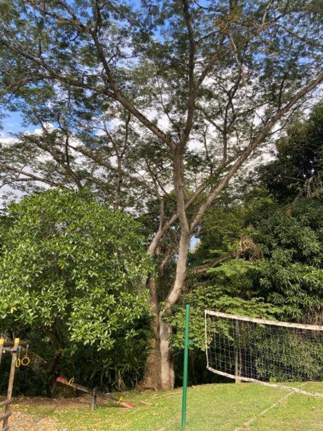 Apartasol En San Jeronimo