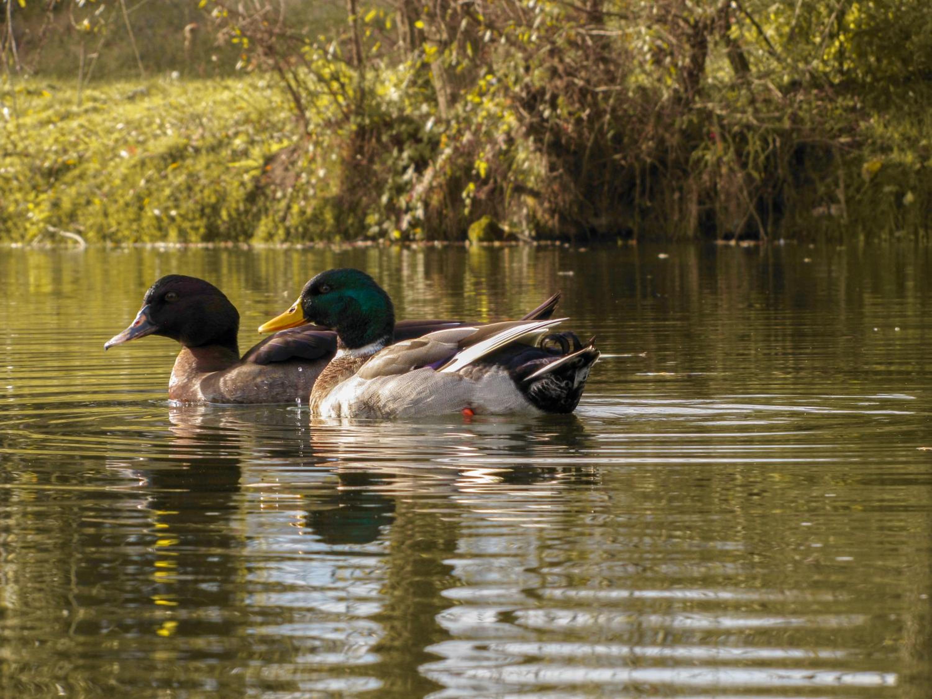 Paddler's Lane Retreat