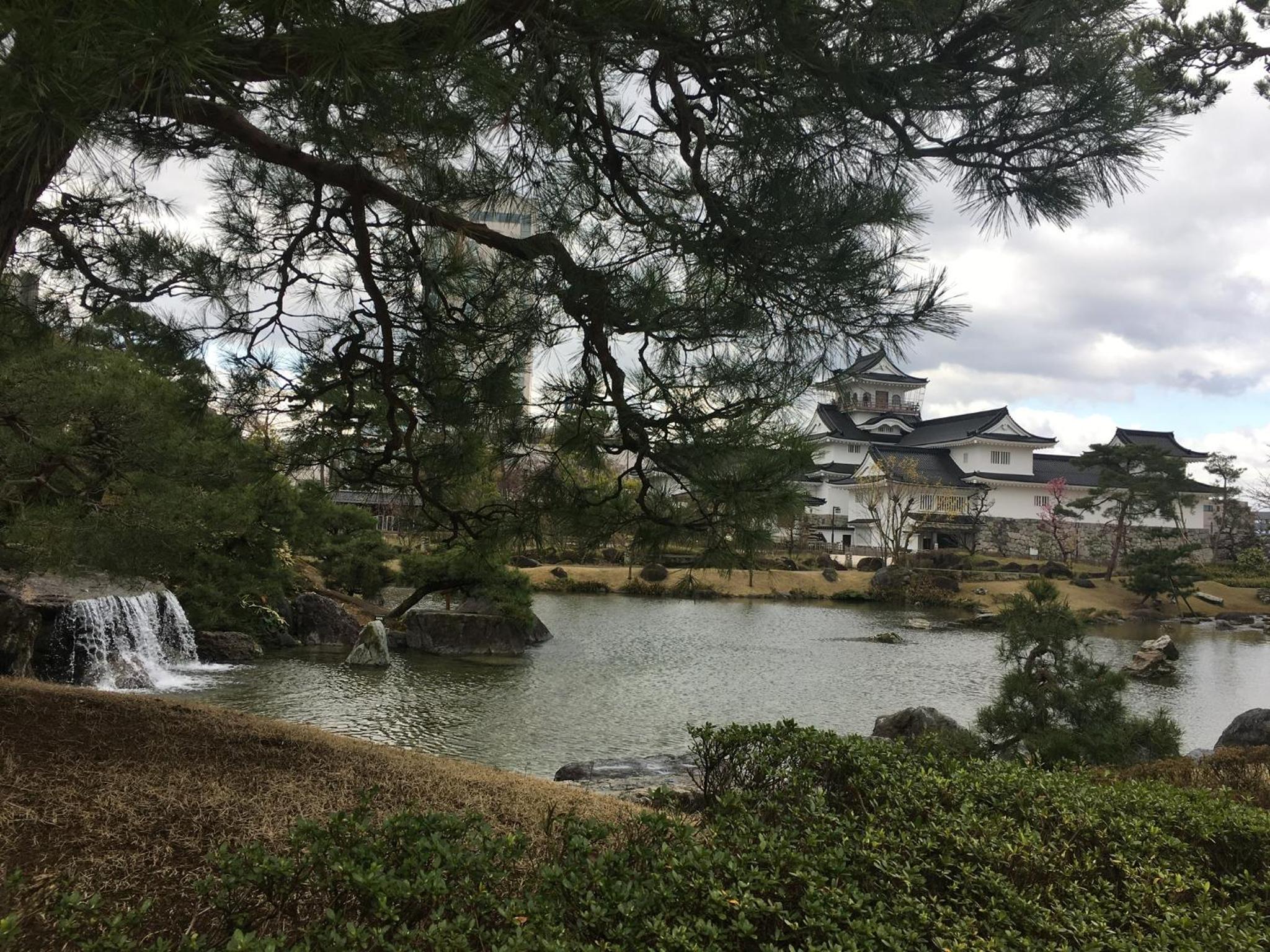 Photo 19