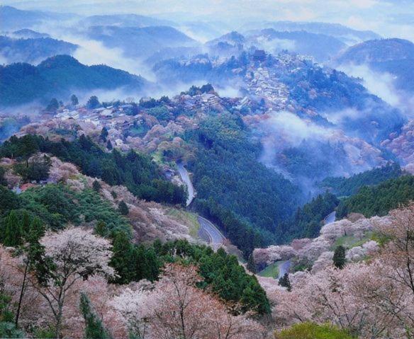 Guesthouse Hajimari