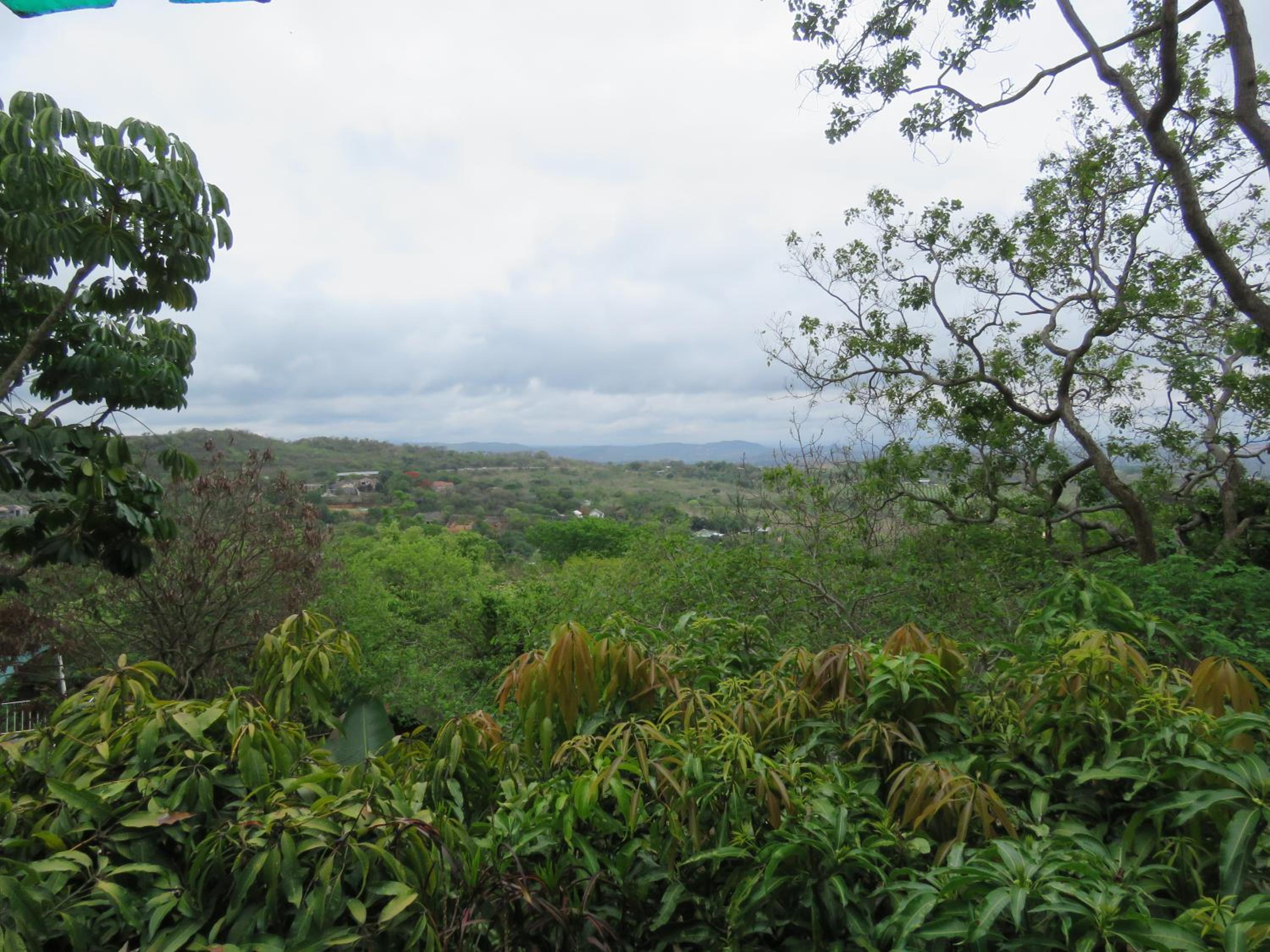 Hazyview Vacations - Viewpoint Lodge  Safari Tours - Property Image 50