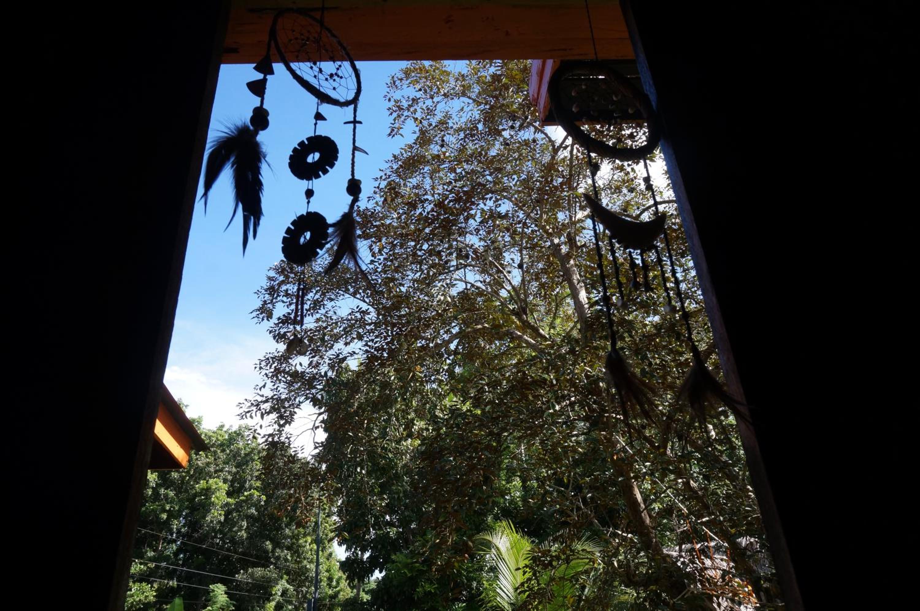 Peaceland Hostel
