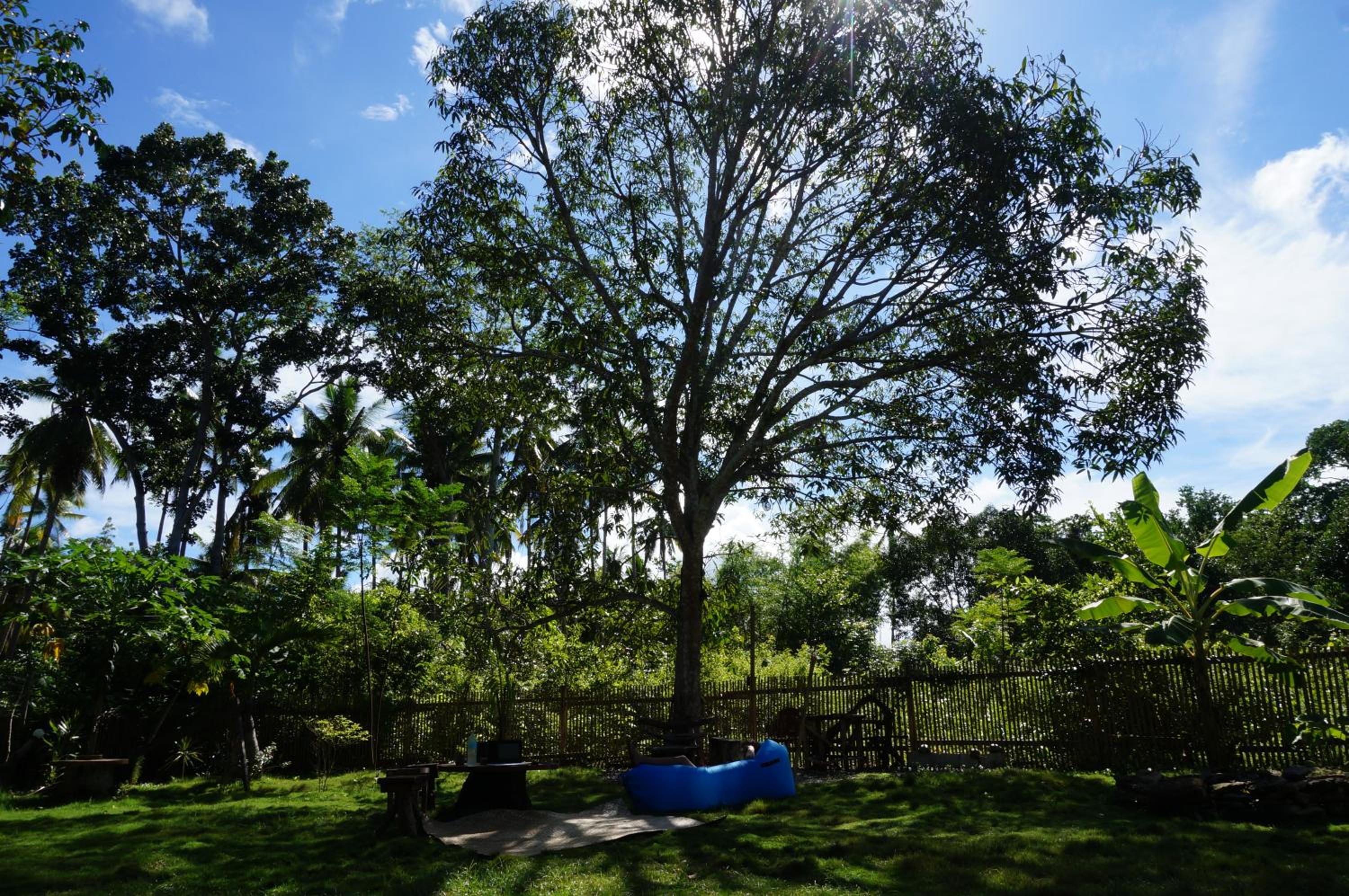Peaceland Hostel