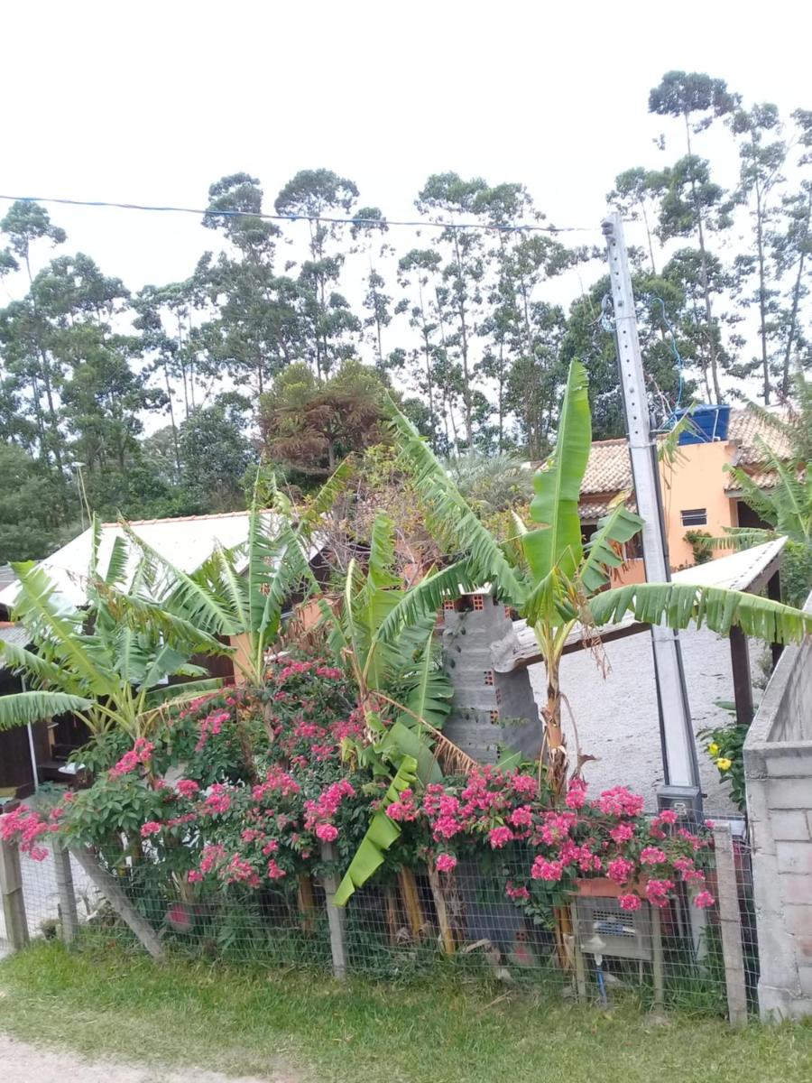 Moradas Renascer 2