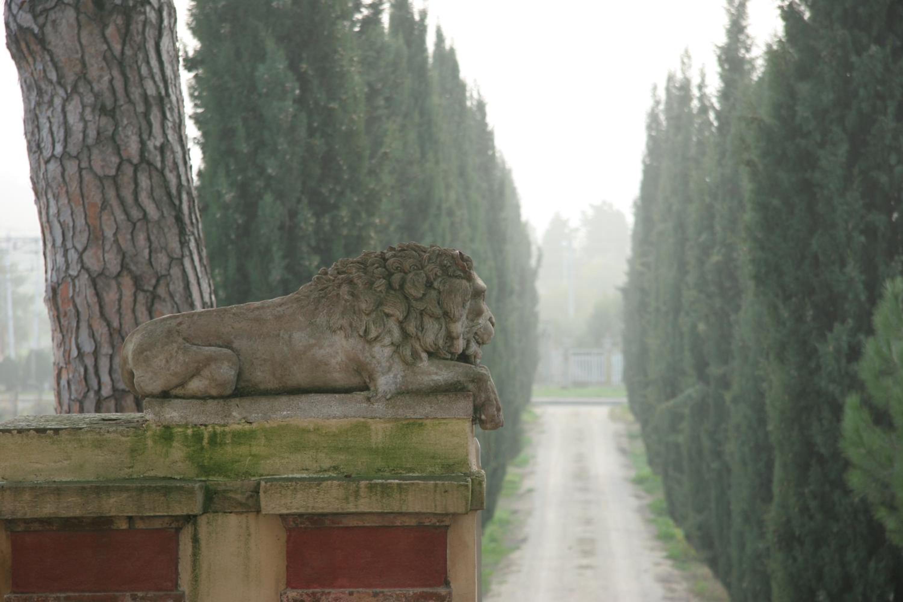 Villa Guadagni Cappelli view 5