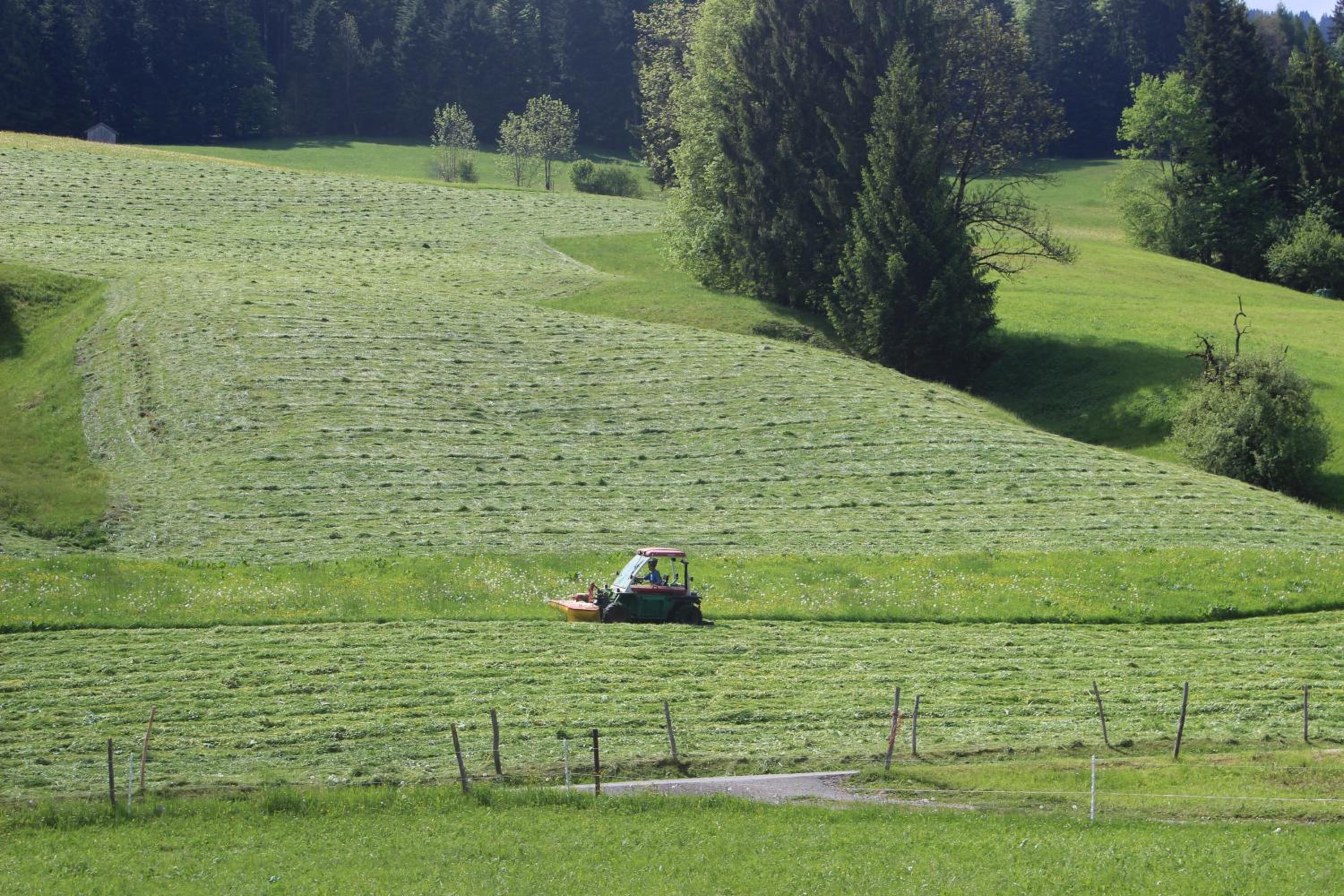 Bauernhof Hammerer