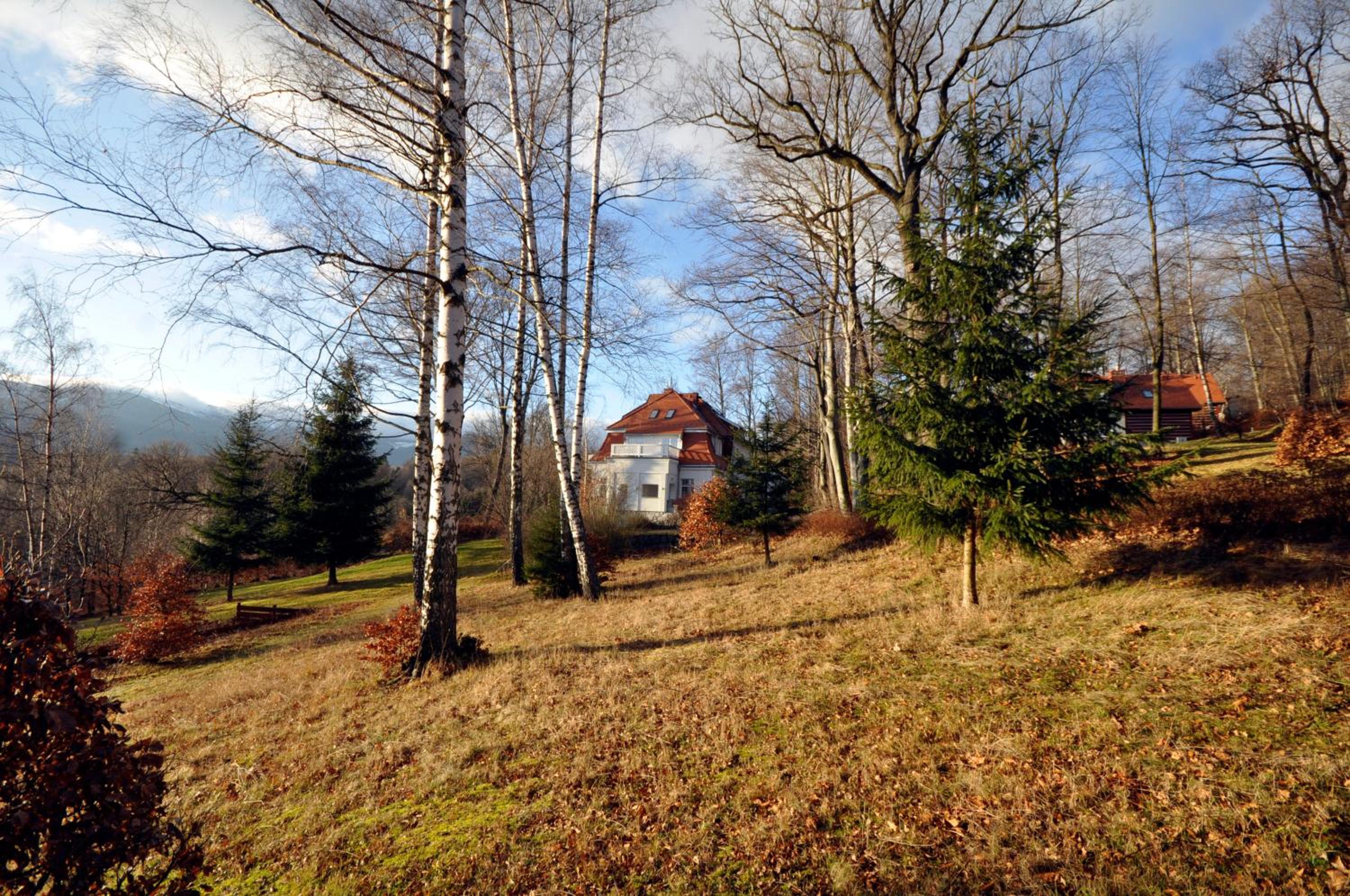 Photo 23