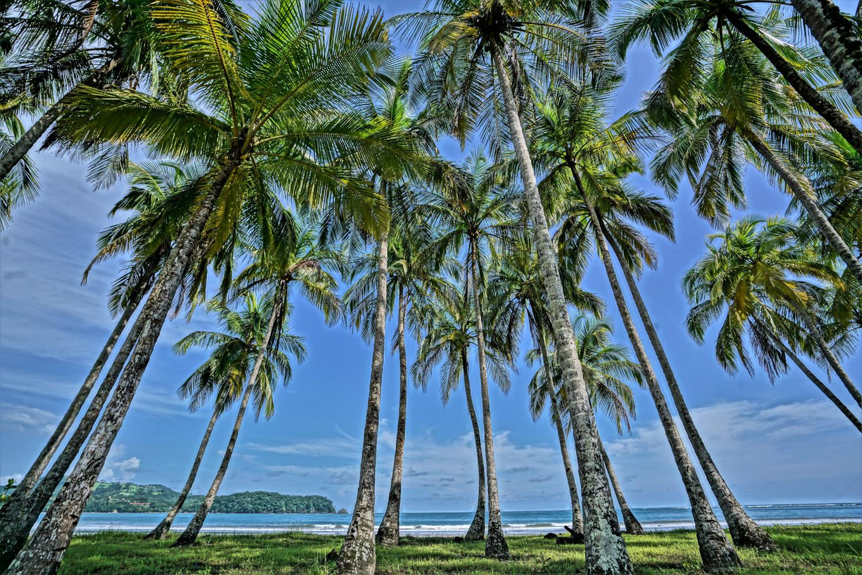 Guanacaste - Costa Rica Vacations - Nammbu Beach Front Bungalows - Property Image 2