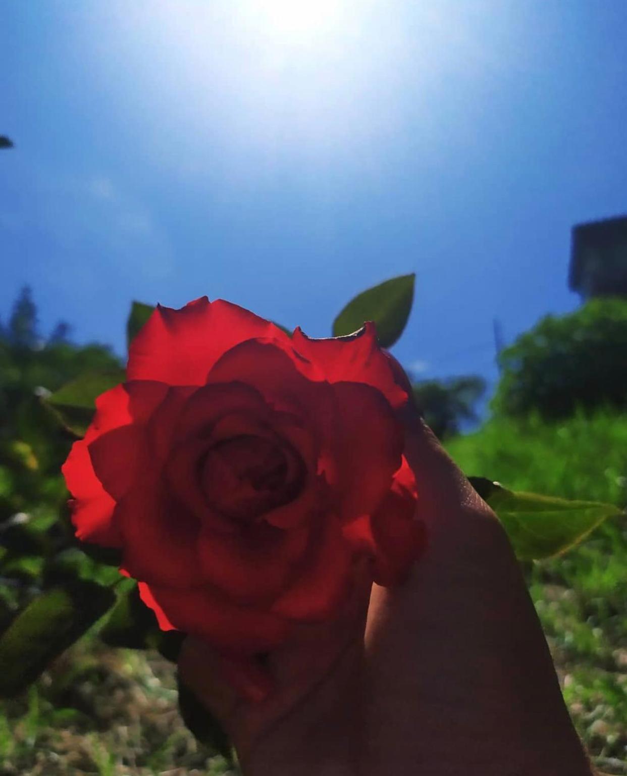 Chalé da Clarissinha