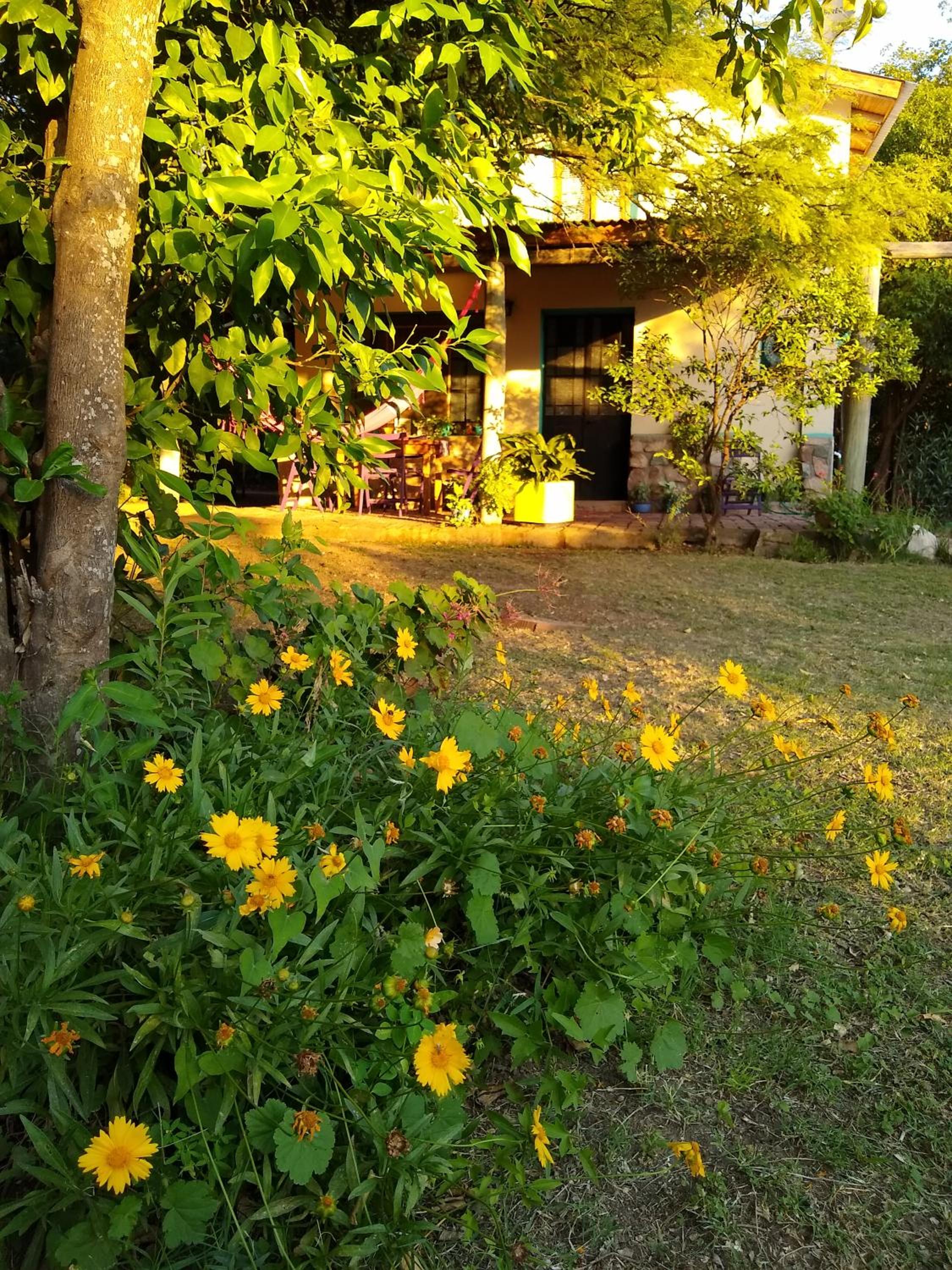 Indra-La Casa de Nanda