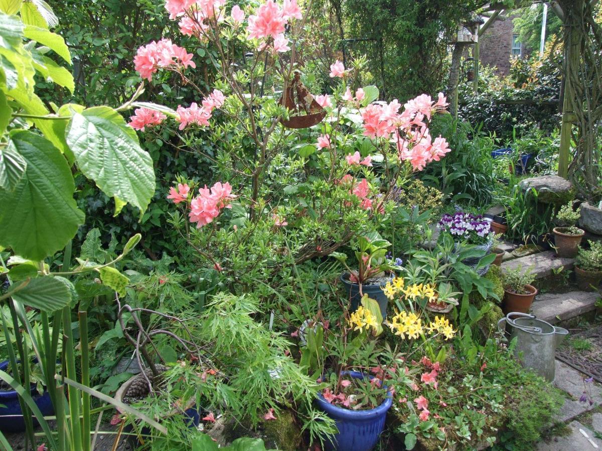 Photo 48