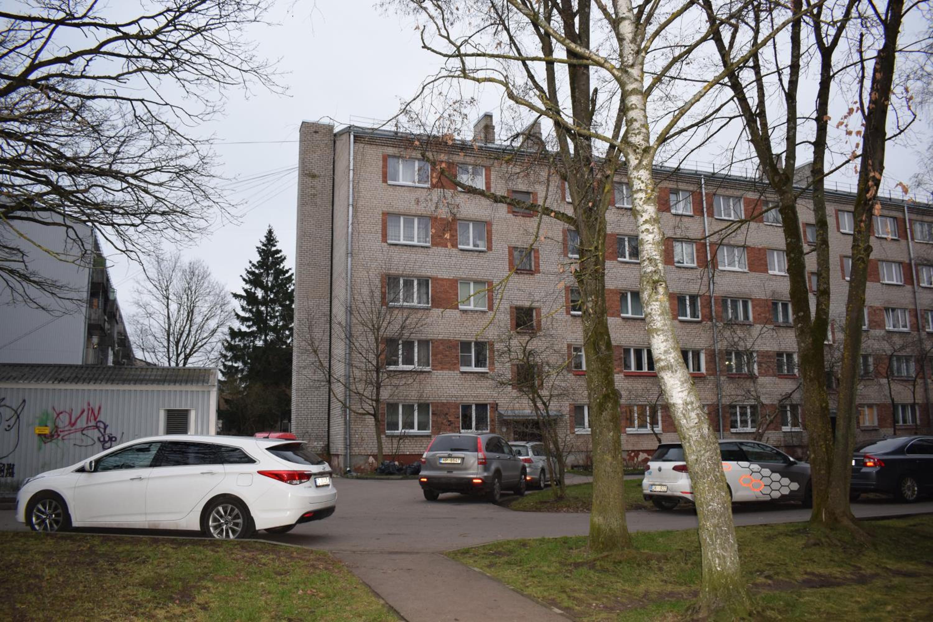 Photo 16