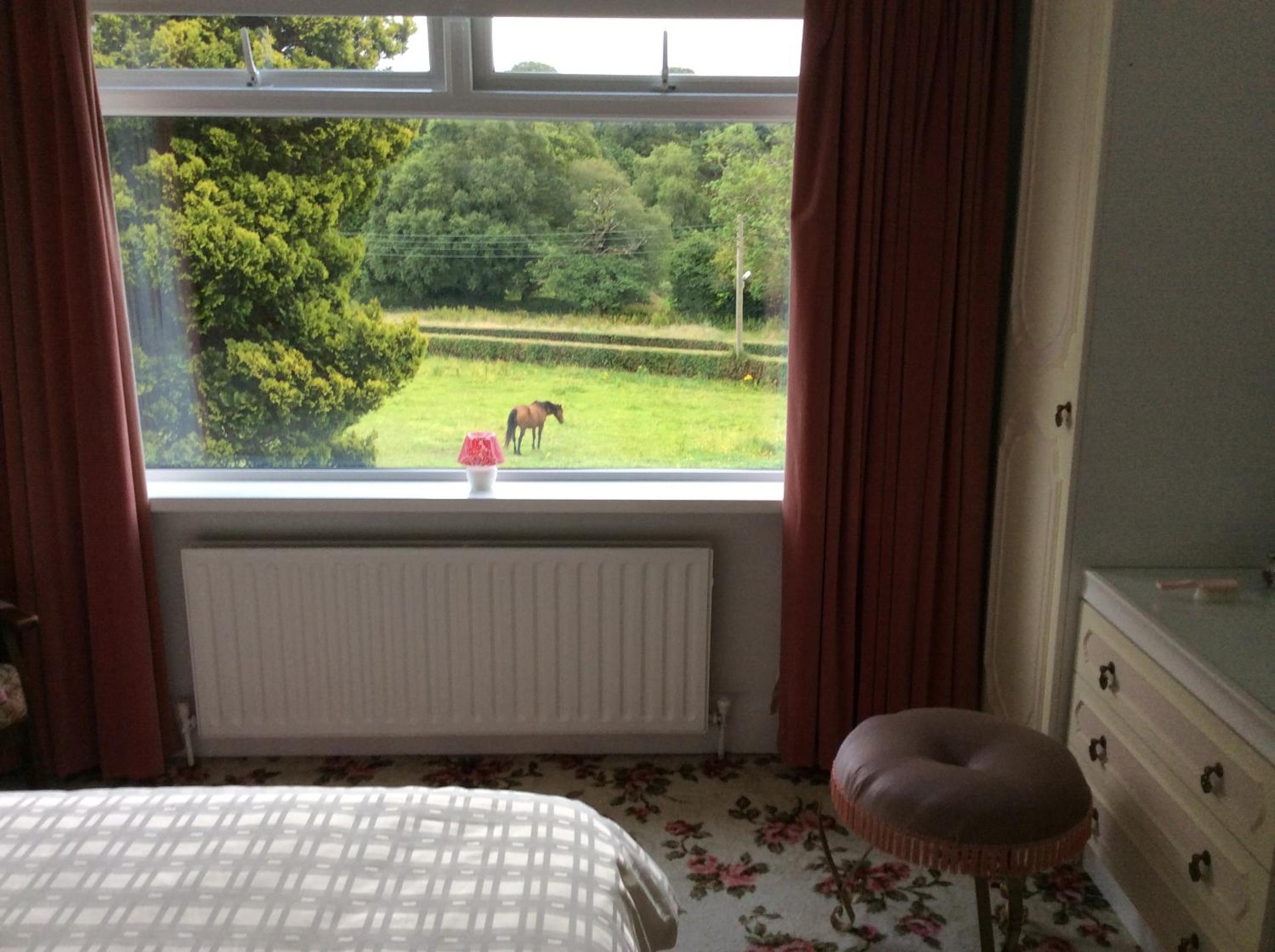 Hallmount House - Belfast view 2
