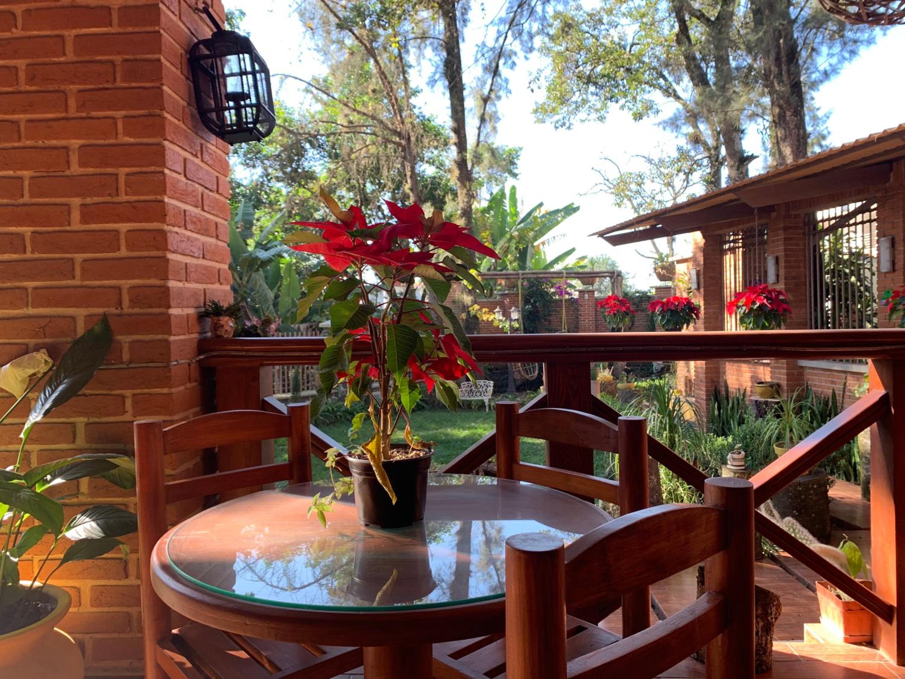 Xalapa Vacations - Quinta Maria Bonita Hotel Boutique - Property Image 6