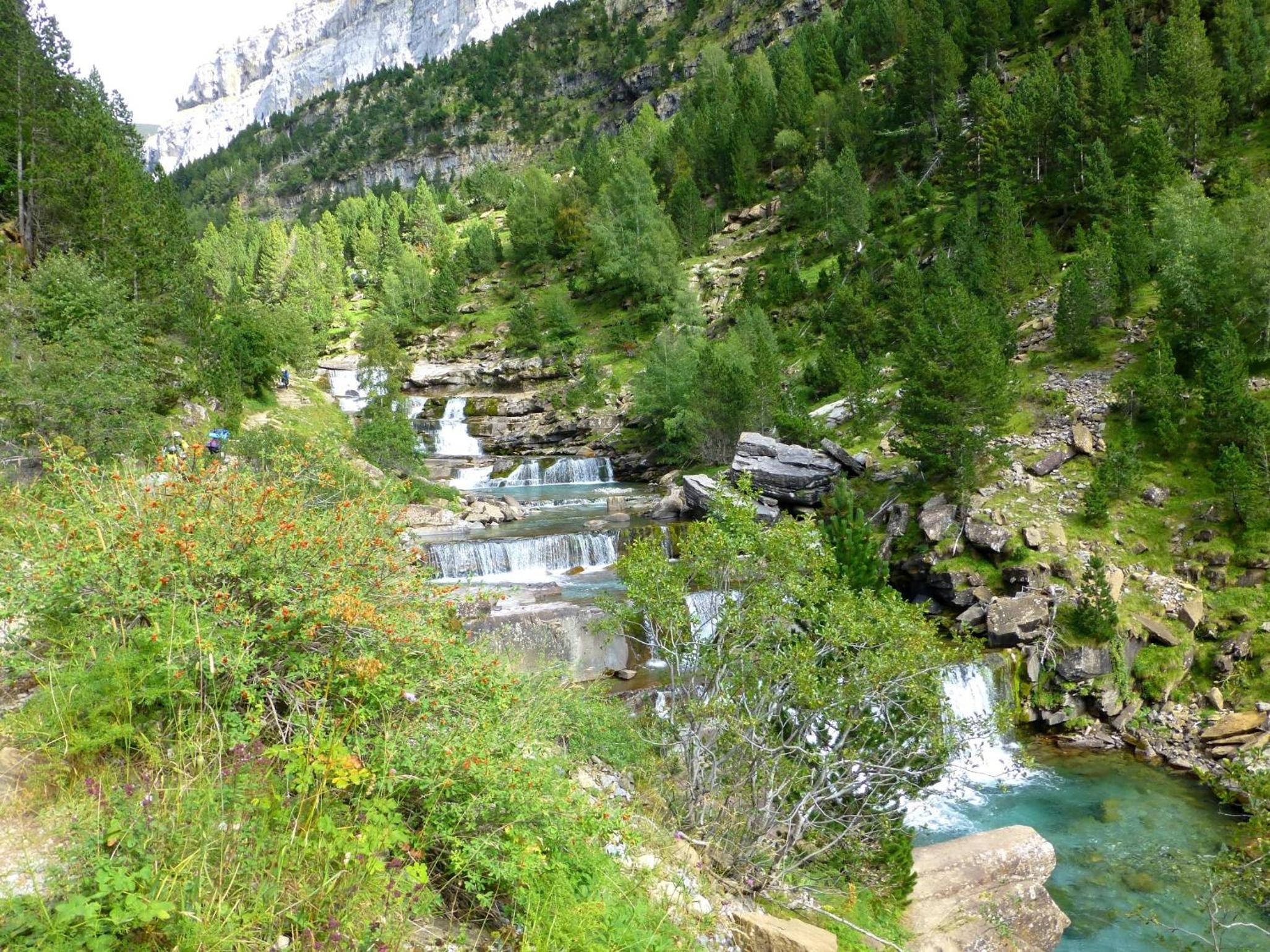 Photo 42