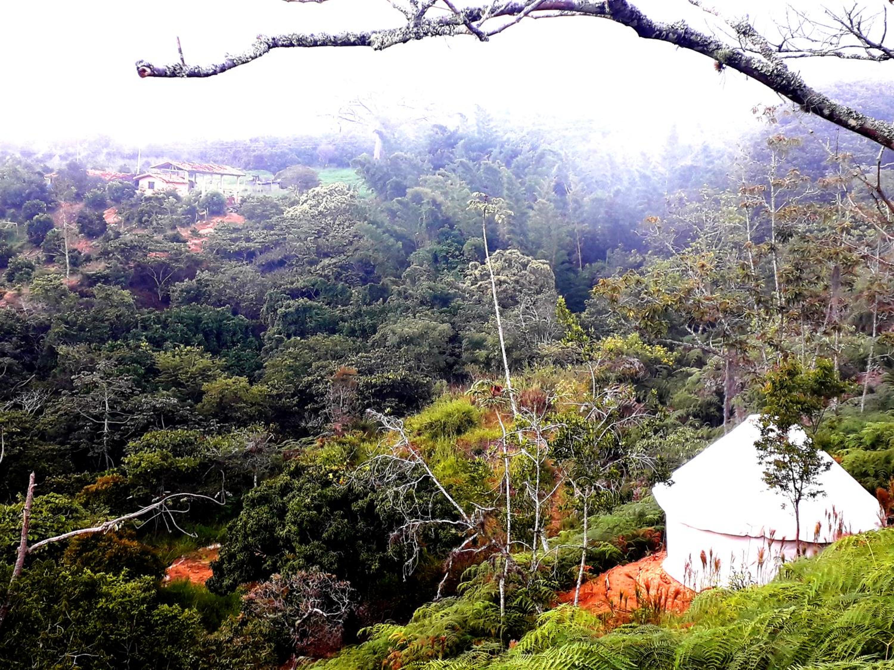 La Pacha Eco-Finca Glamping view 4