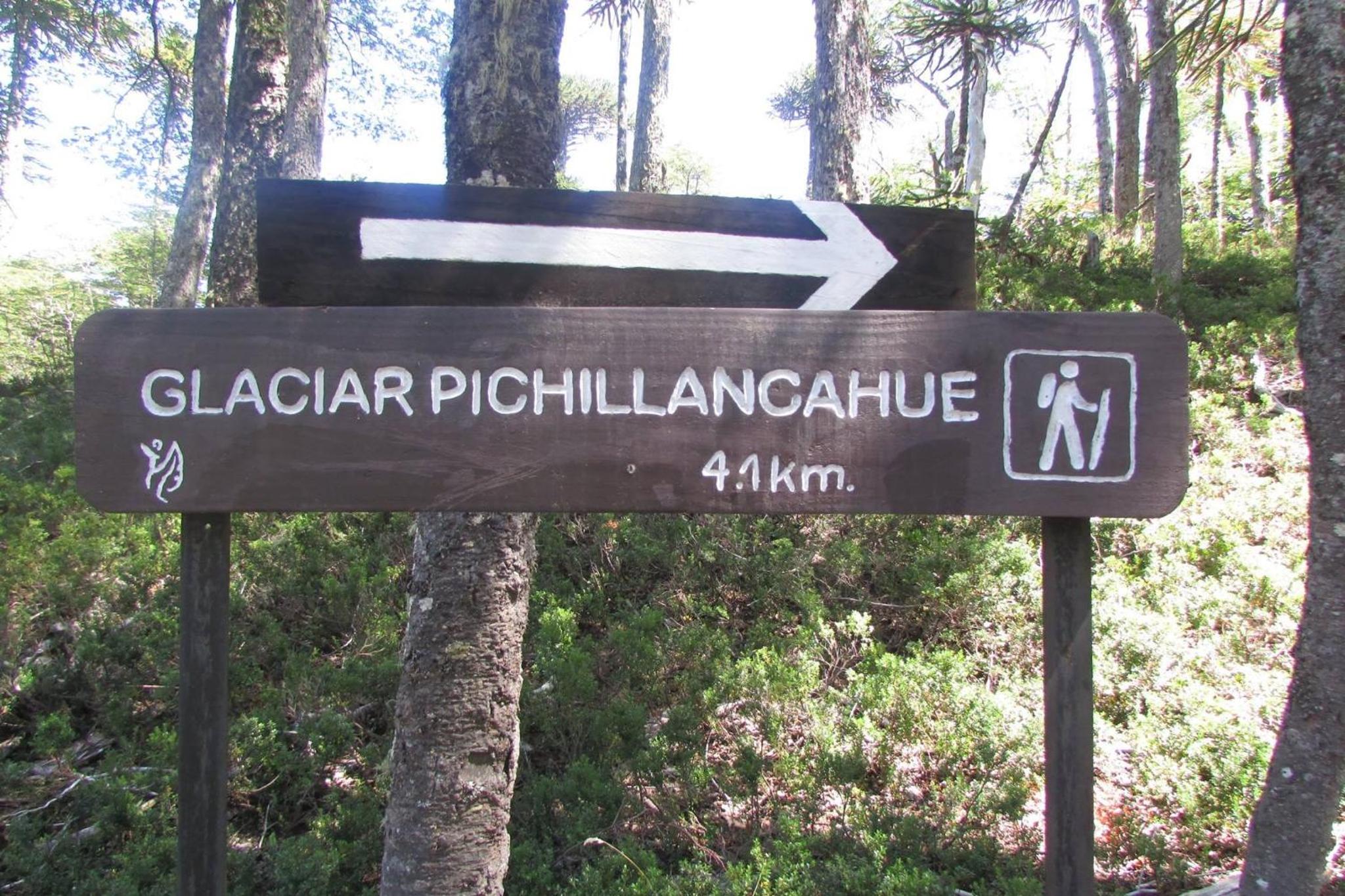 Cabaña en Coñaripe Sector Termas Geométricas 