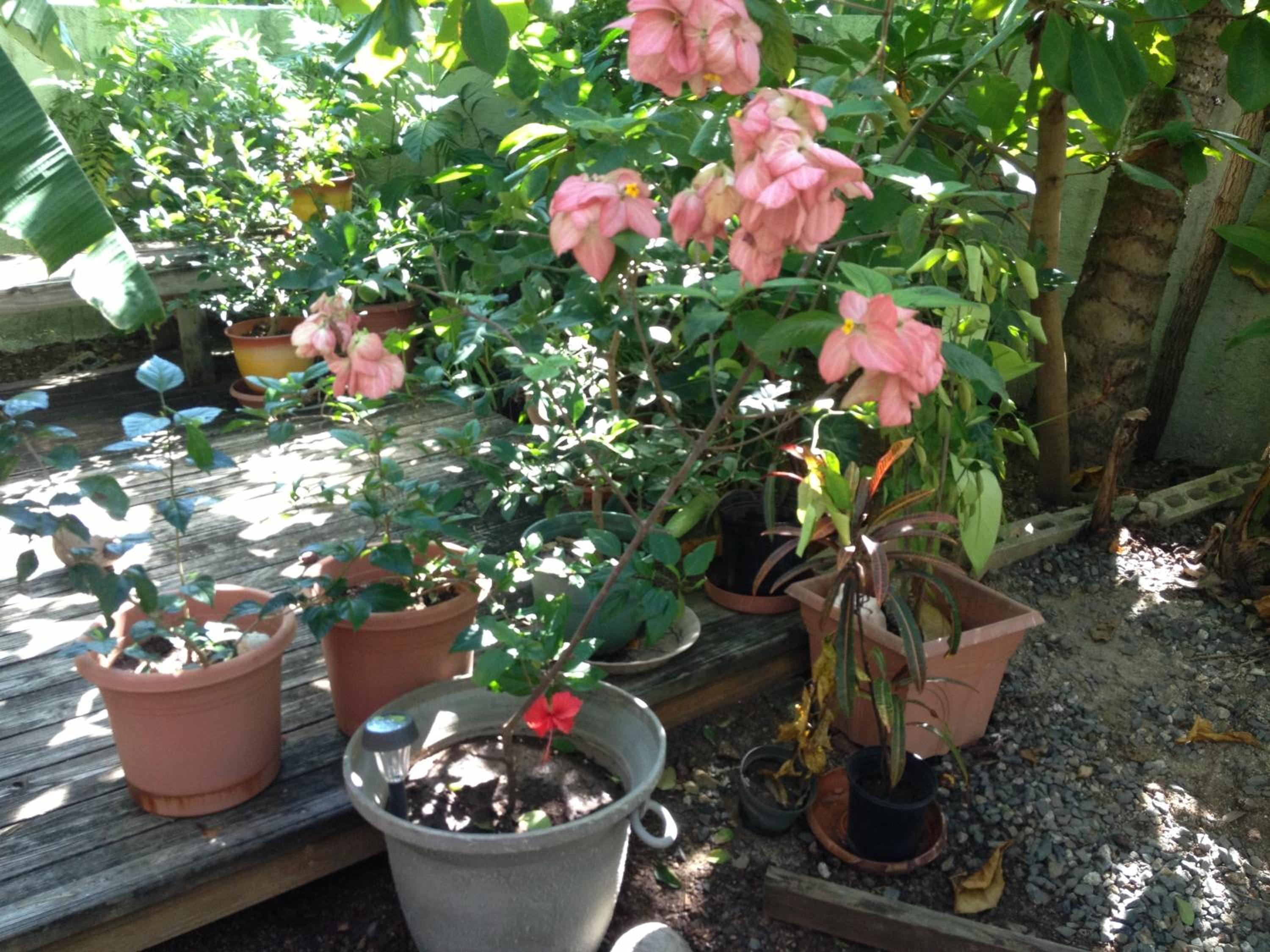 Photo 13
