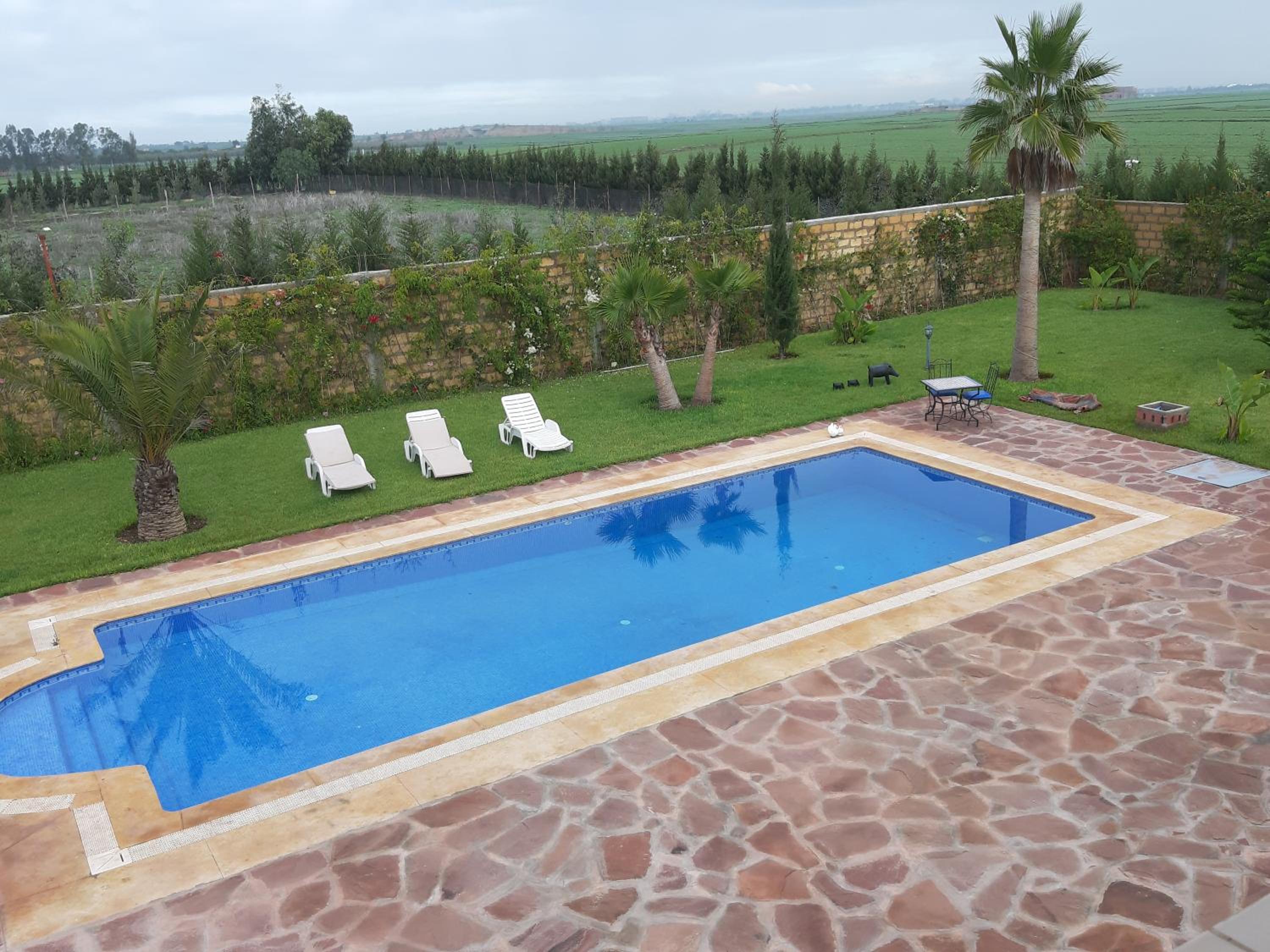 Riad TANJIL photo 25 of 57