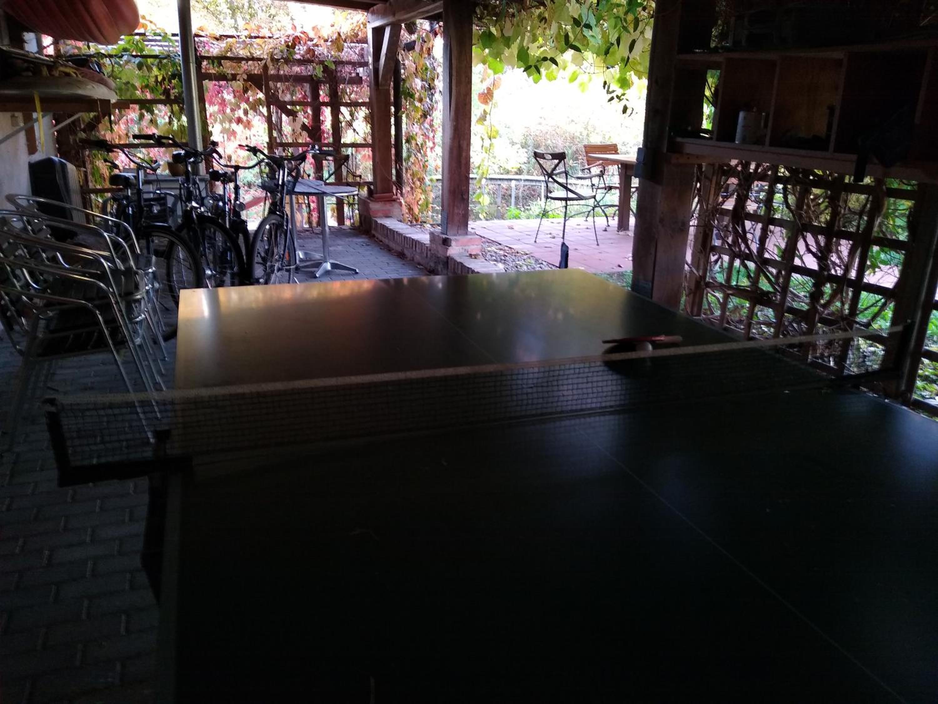 Photo 39