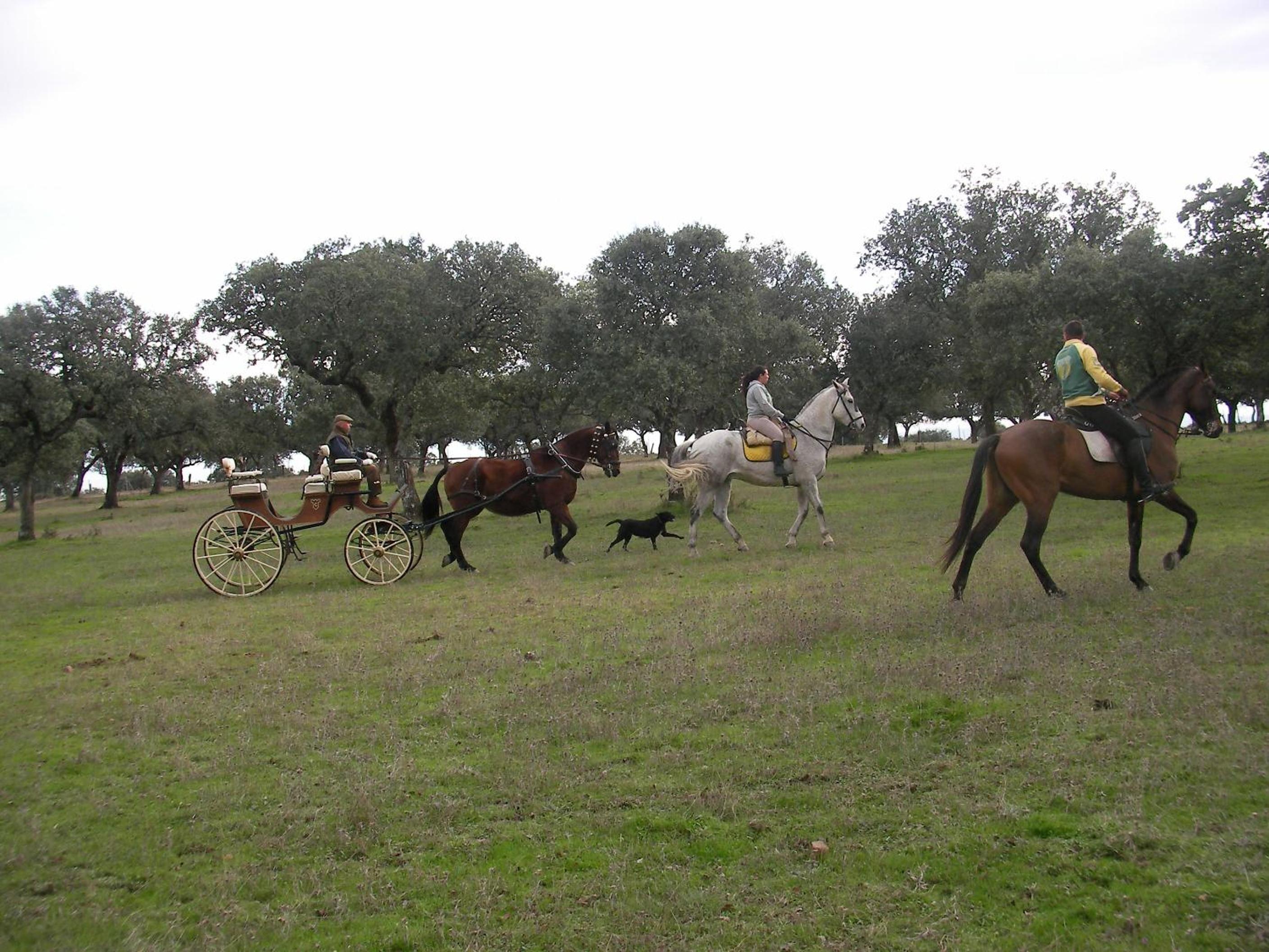 Photo 22
