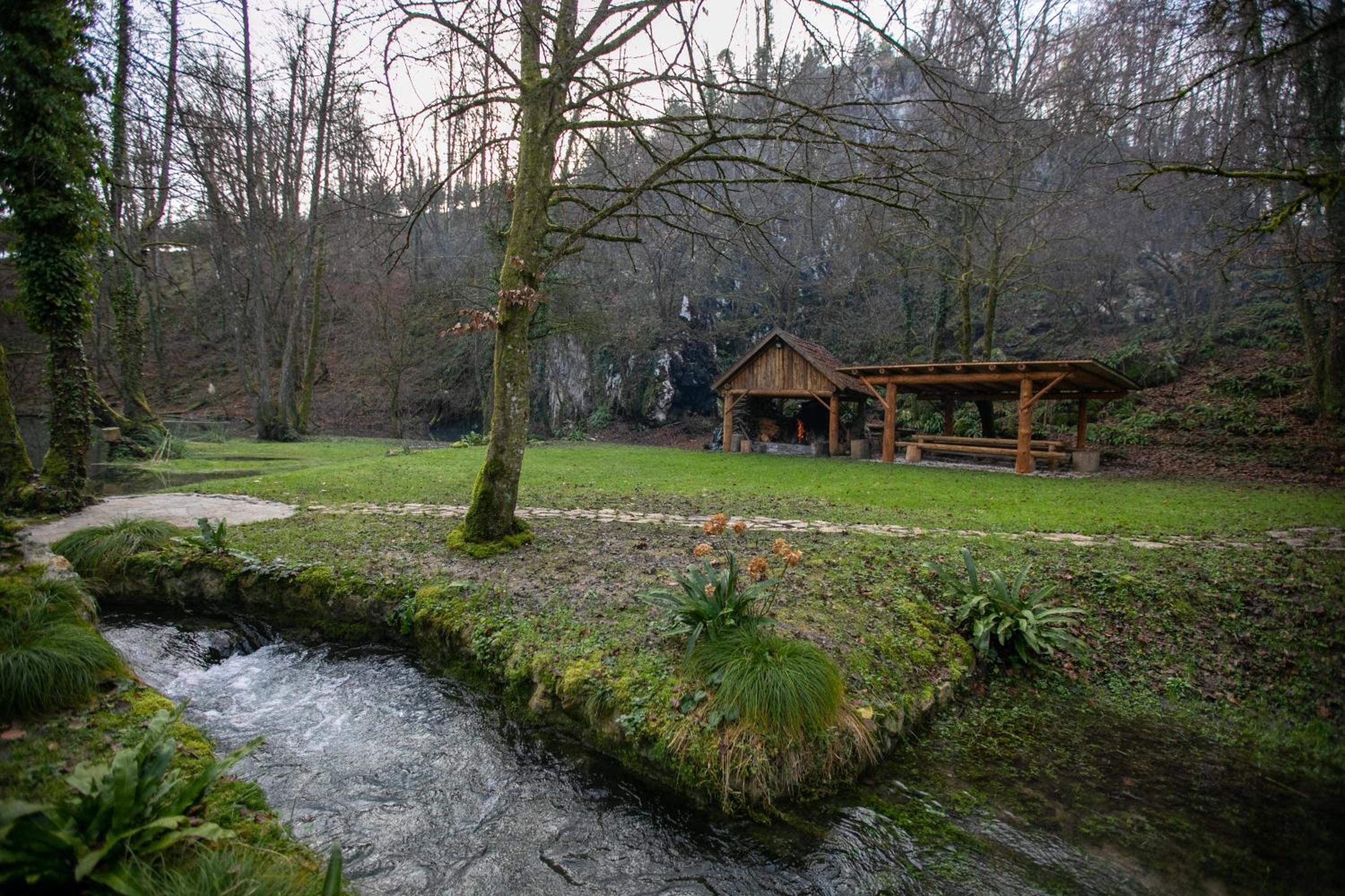 Photo 46