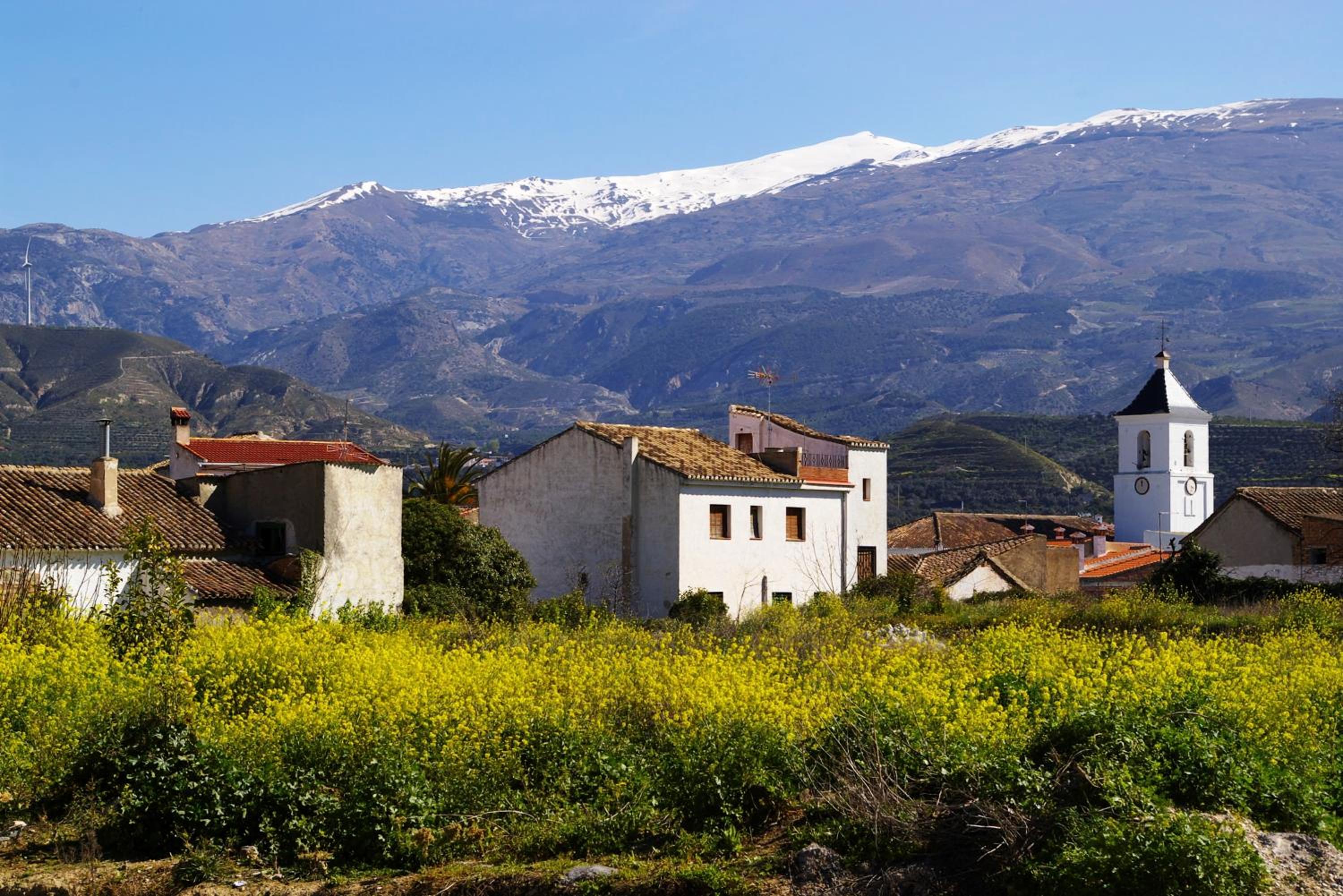 Hostal y Apartamento Rural Los Naranjos