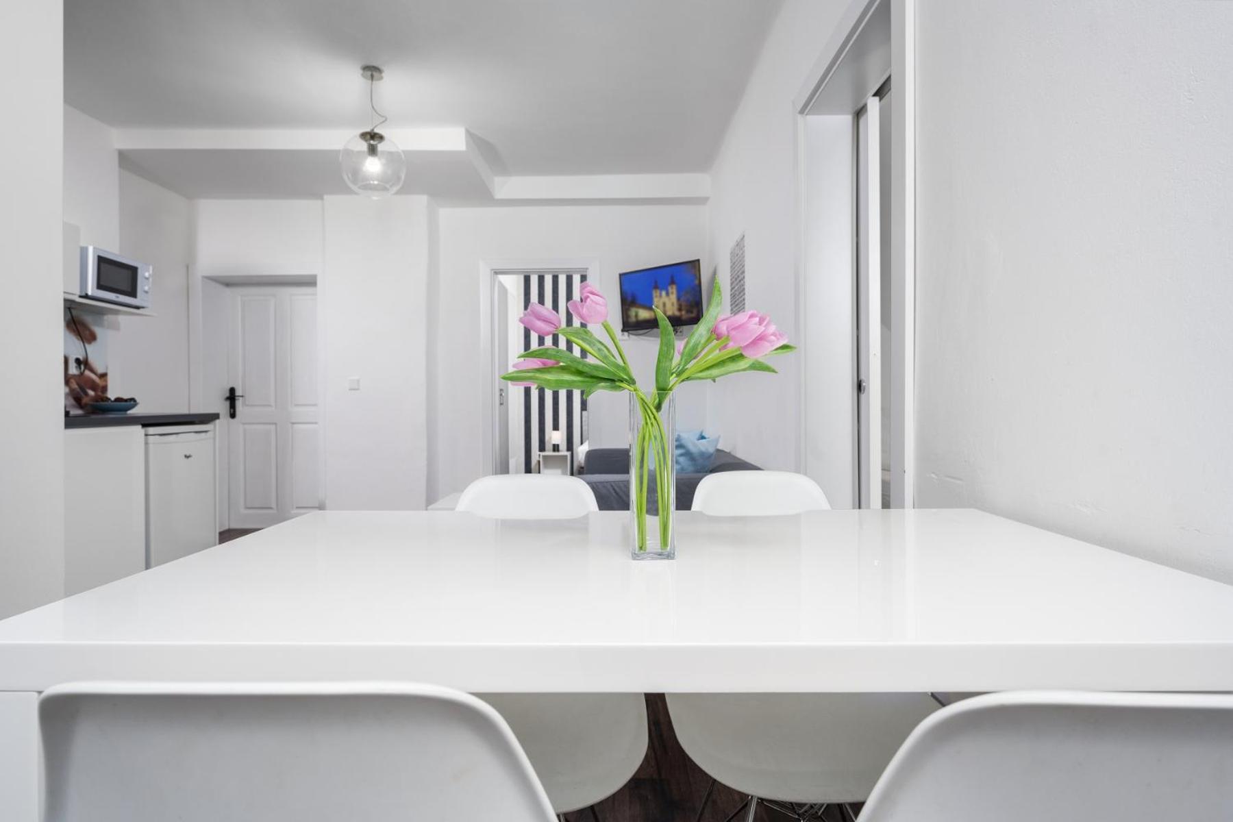 Jizerské hory, apartmány, zahrada, parkování zdarma