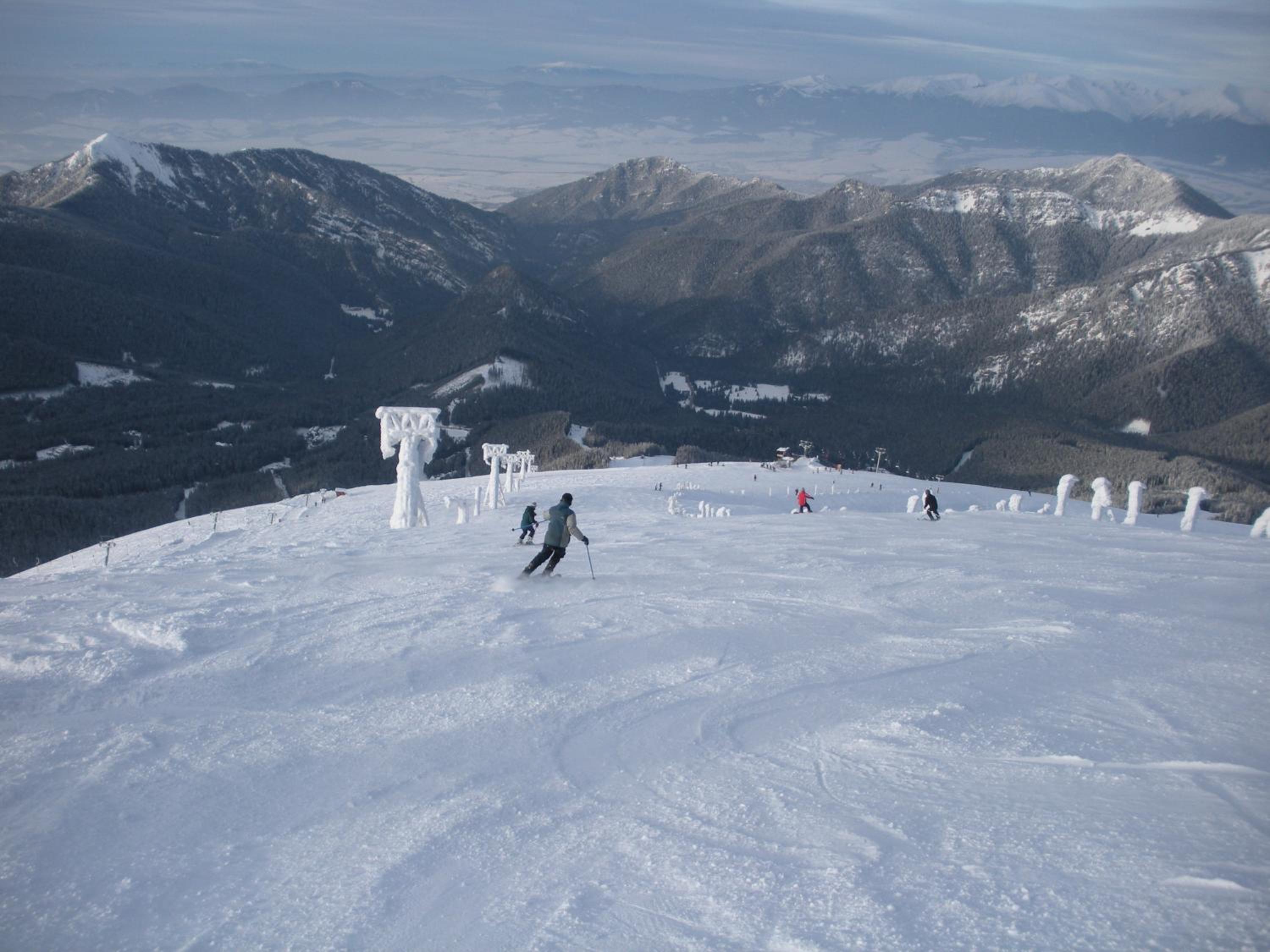 Photo 40