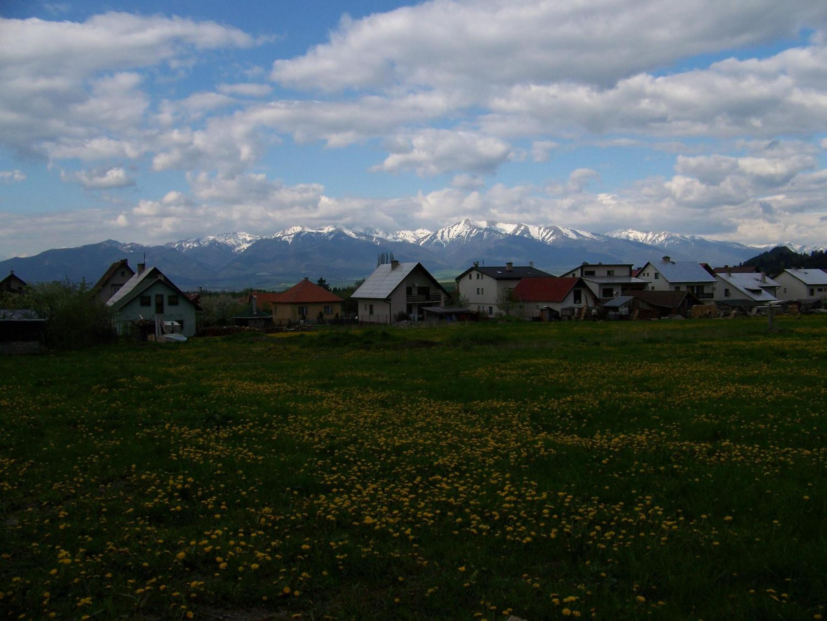 Photo 39