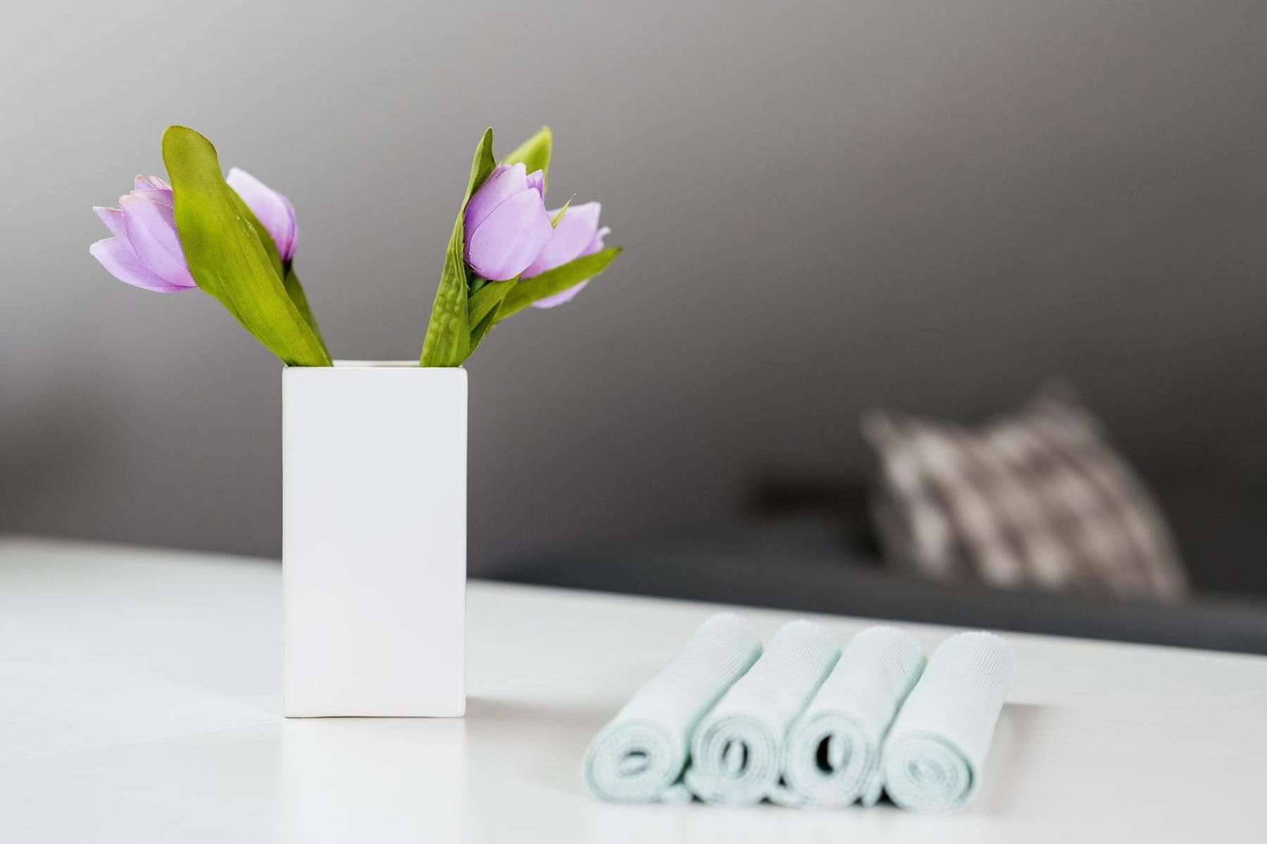 Jizerské hory, apartmány, zahrada, parkování zdarma