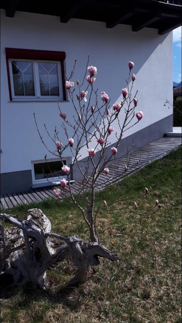 Apartments Schöll view 3