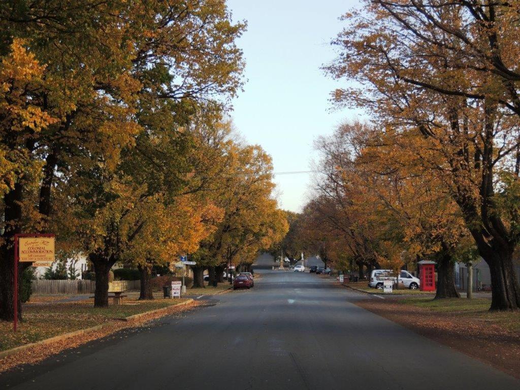 Photo 46