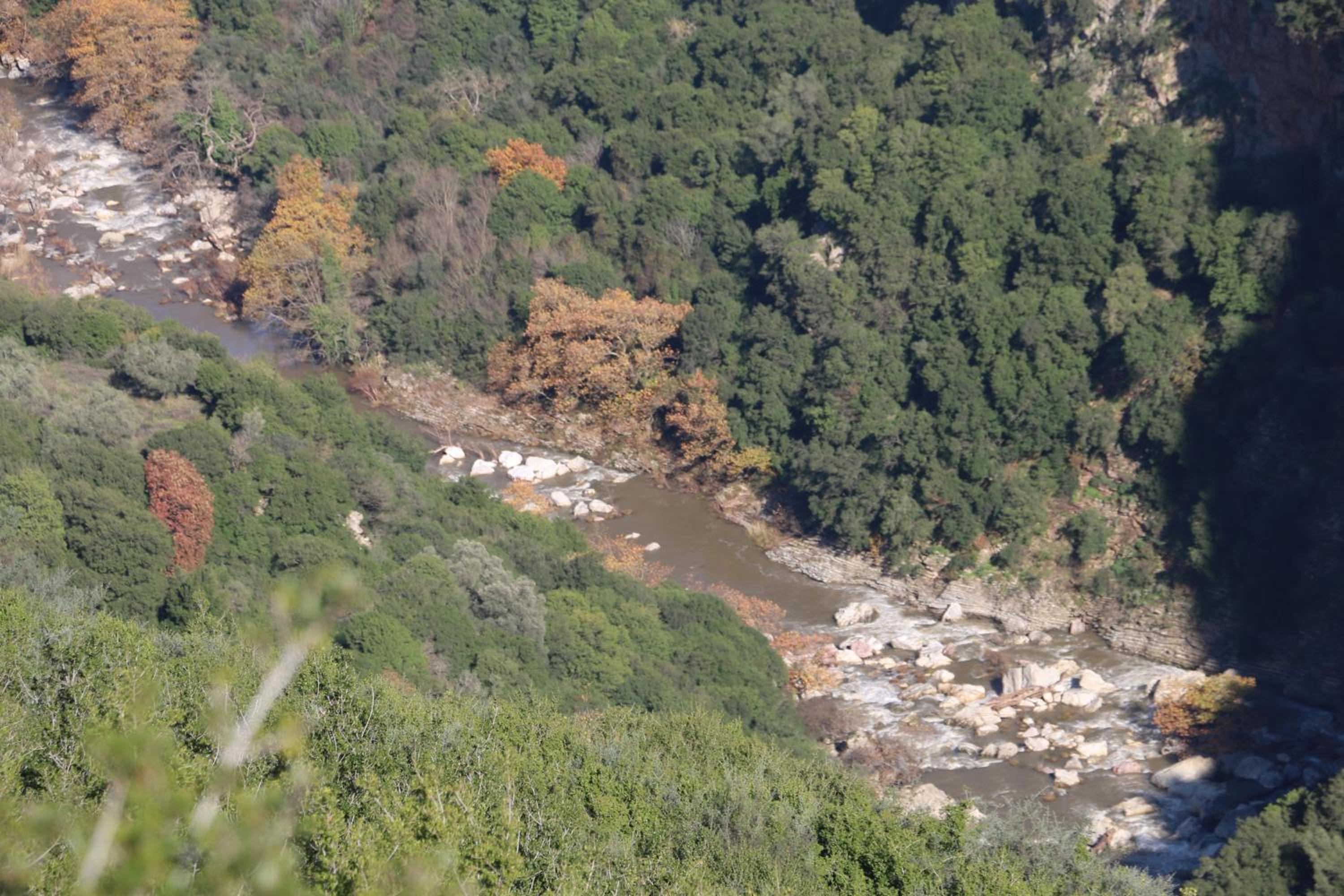 Photo 45