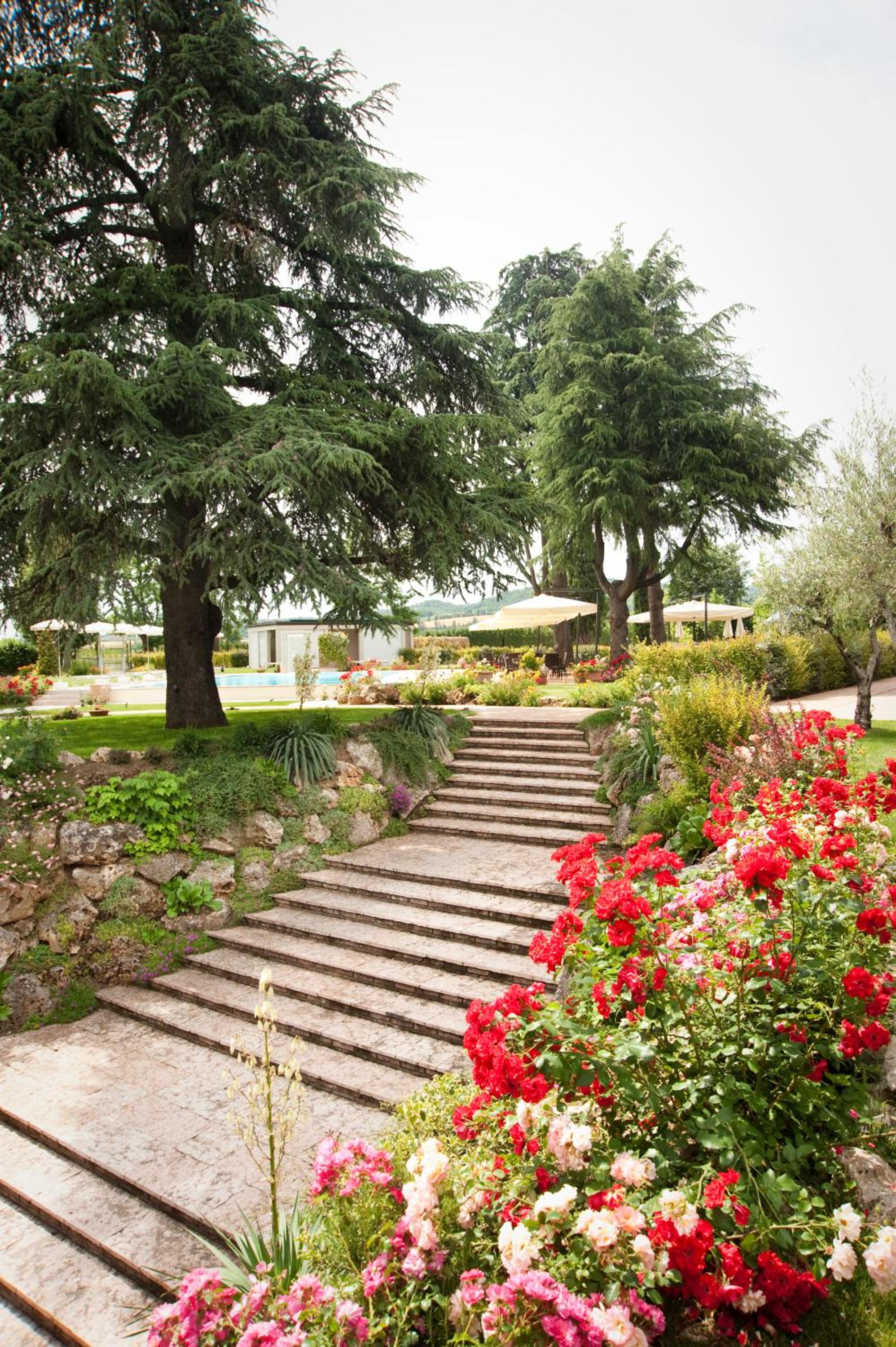 Photo 40