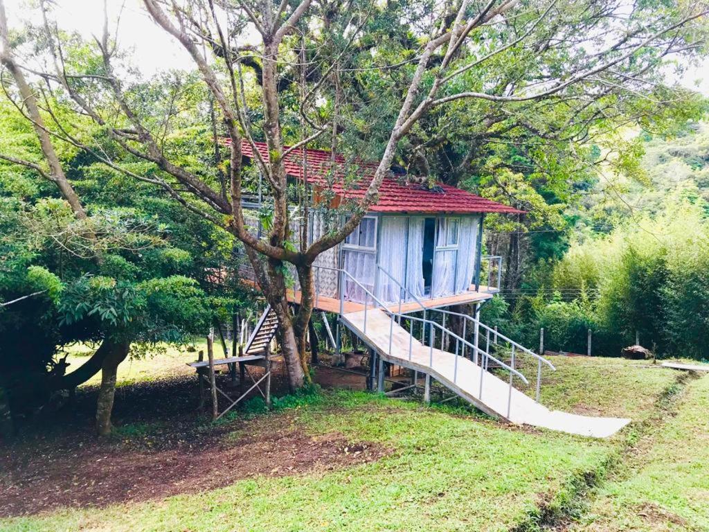 Cabaña treehouse Mountain View