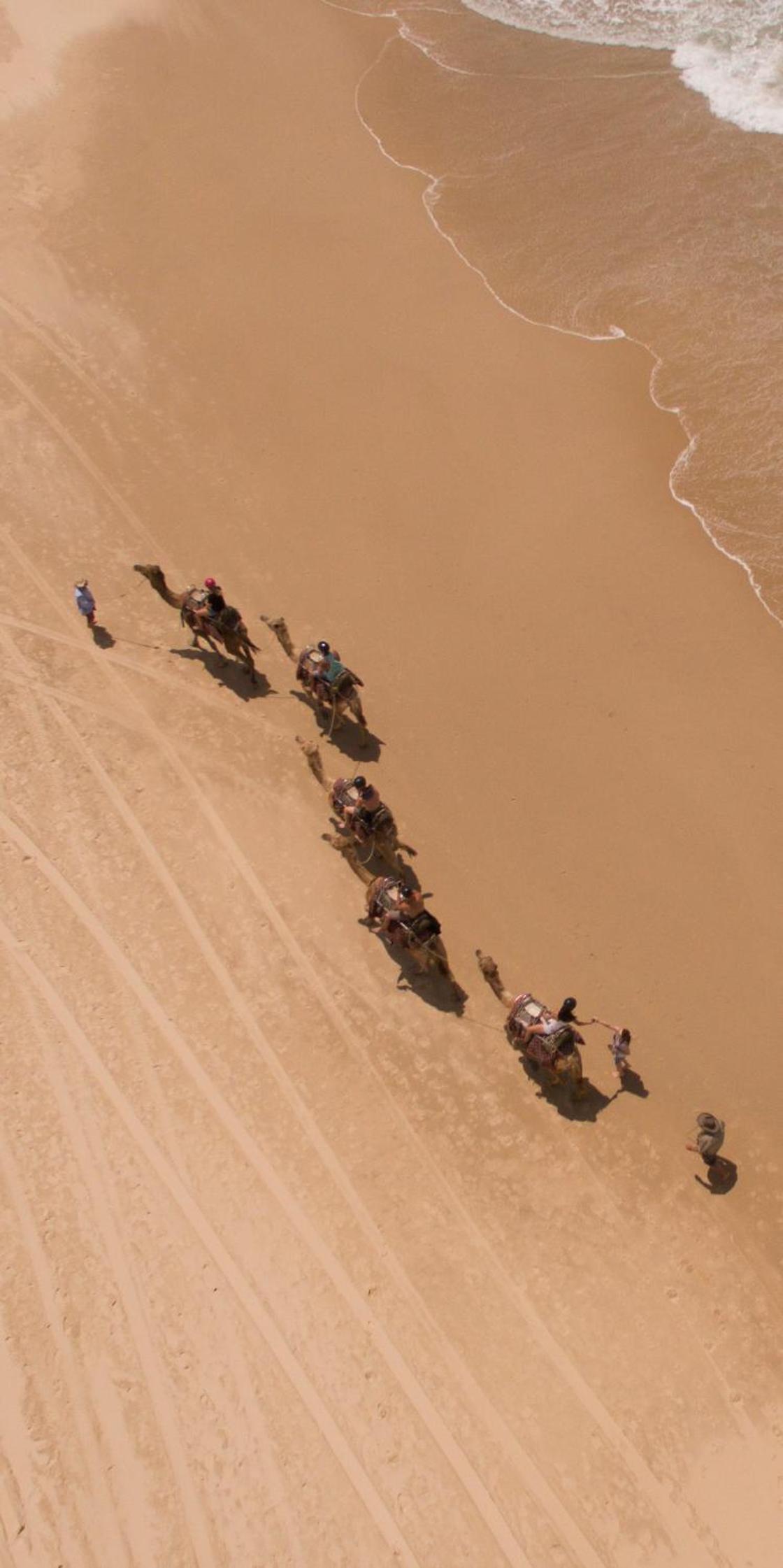 Ozzie Pozzie Backpackers